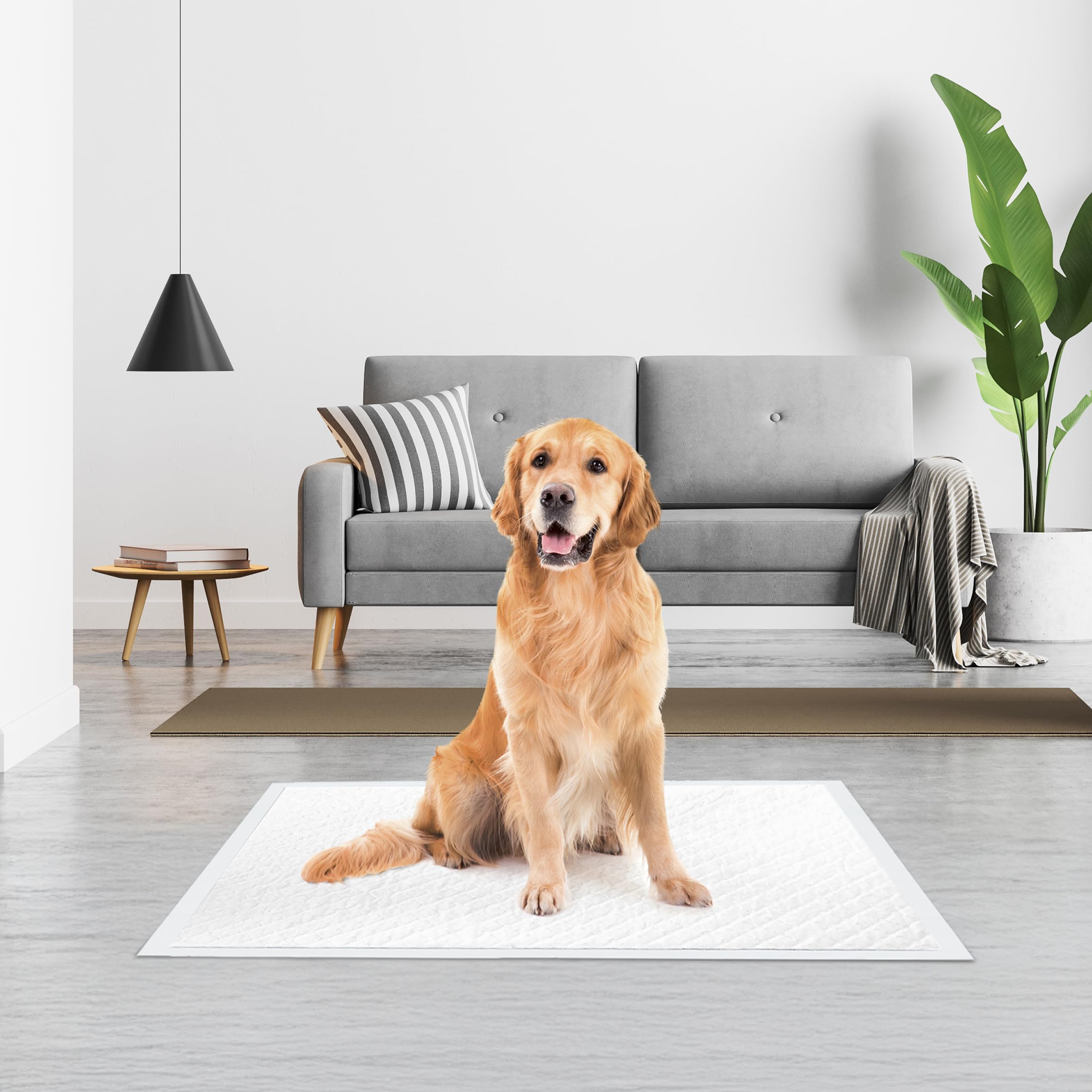 Tappetini igienici per cani 60x90cm 30 pz Monouso Antistrappo Antiodore Best Friend PìStoP Extra+
