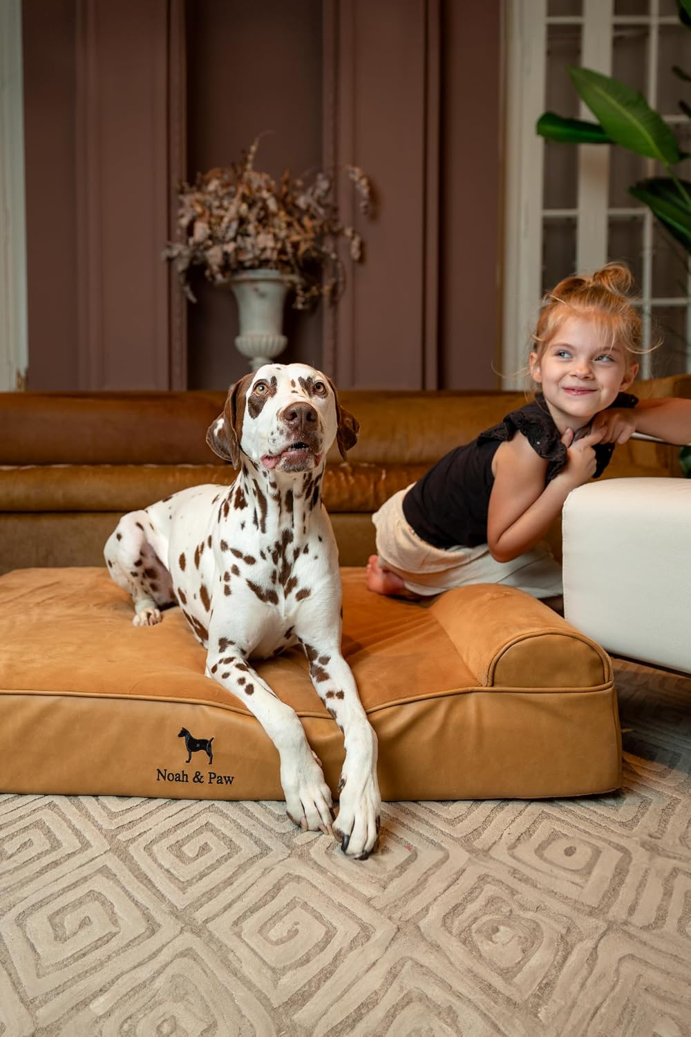 NOAH & PAW XL Dog Bed, 45x35x9.1 Inch, Orthopedic Large Dog Beds, Eggshell Memory Foam Infused with Cooling Gel, Waterproof, Machine Washable, Includes Inner Cover (Faux Leather)