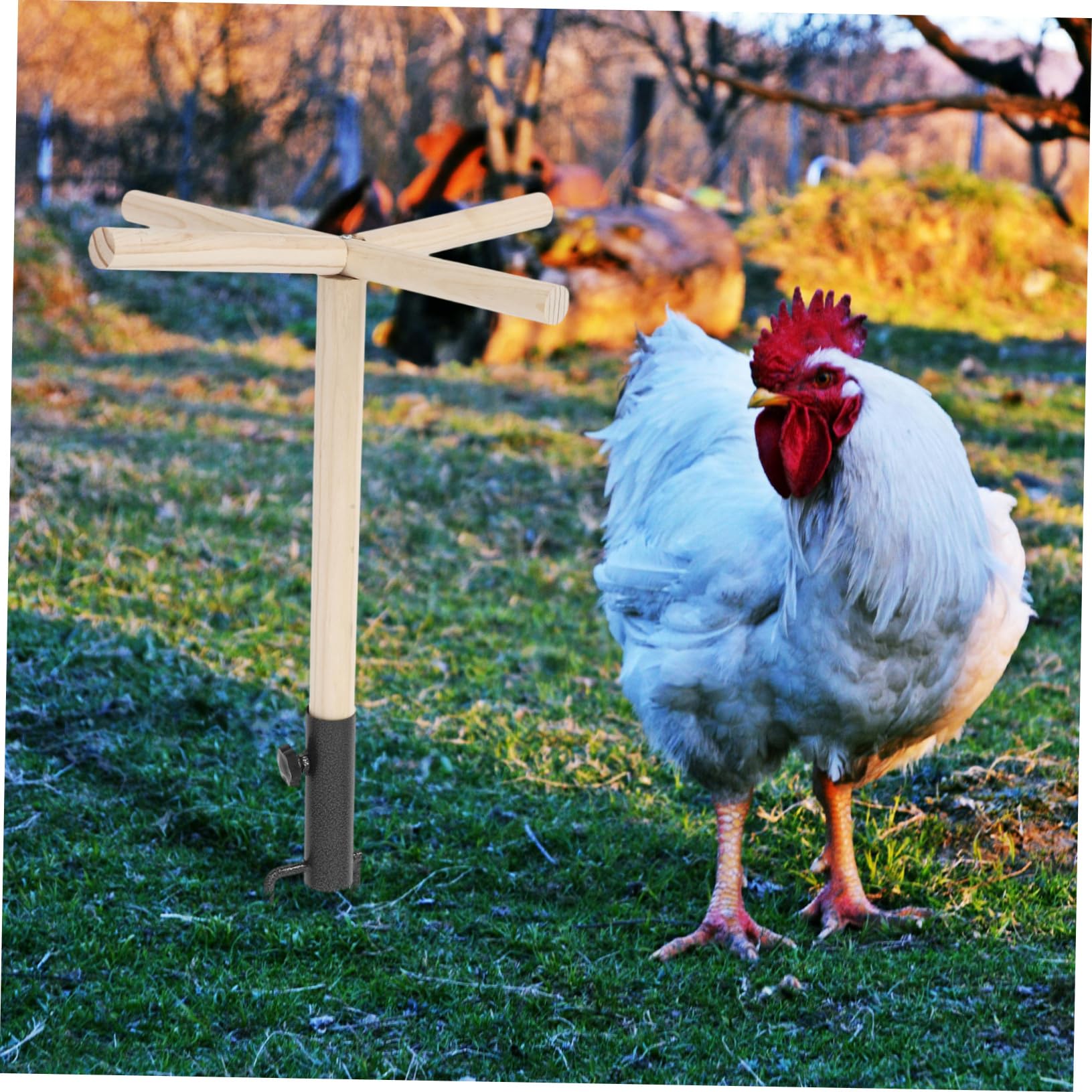 Kisangel Perch De Madera para Aves y Soporte para Entrenamiento De Pollo y Juguete para Mascotas Posadero Exterior para Periquitos y Aves De Mediano
