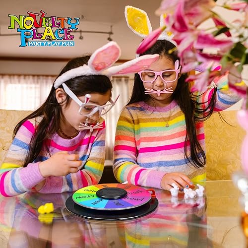 Miniatura 2 de Novelty Place Rueda giratoria de premio de 10 pulgadas, tarjeta giratoria de doble cara de 8/16 de mesa, marcador de borrado en seco, ideal para