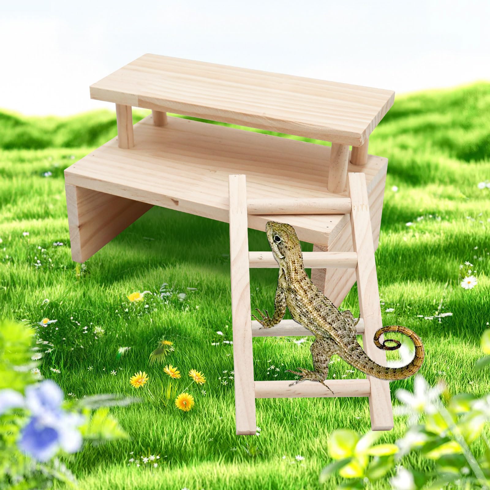 Amazon.co.jp: 爬虫類の隠れ家の洞窟、木製の二層爬虫類の隠れ家、登山