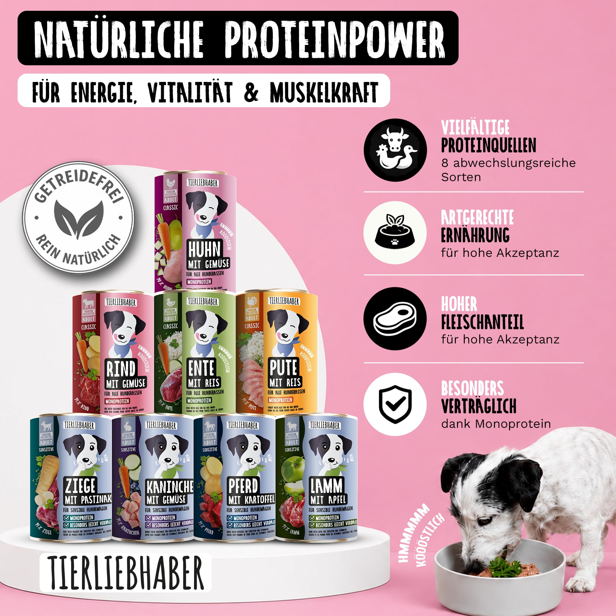 Hundefutter Nass 800g Probierpaket 8 Sorten – Hunde Nassfutter Wet Dog Food | Tierärztlich entwickeltes Hundenassfutter 800g Dosen mit hohem Fleischanteil – Leicht verdaulich von TIERLIEBHABER