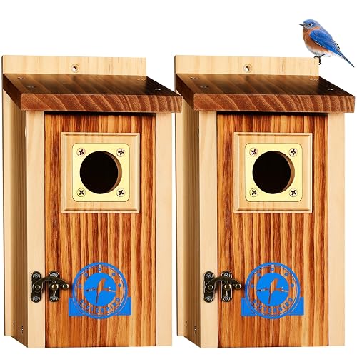 SISTERBIRD 2 Pack Bluebird House, Premium Blue Bird House, Warming