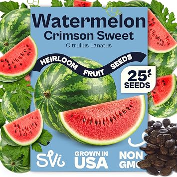 SVI 25 Picnic Crimson Sweet Watermelon Seeds Citrullus lanatus Crimson Sweet Watermelons Seed Packet, Sandia Water Melon Fruit Seed Heirloom Fruit Seeds Outdoor Garden Beds, Vegetable Garden