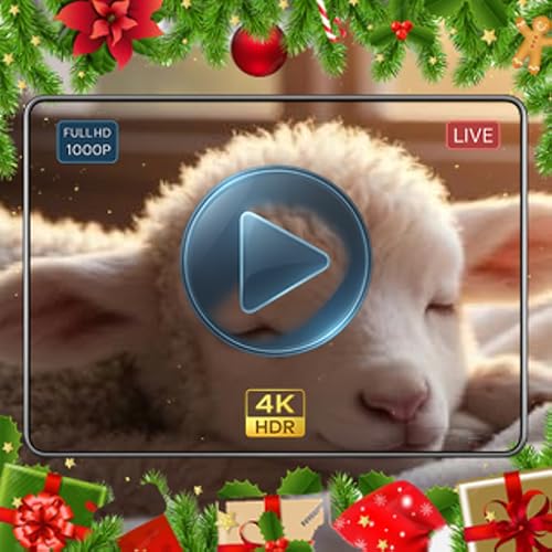 Sleeping Lamb Lullaby 4K: Adorable Asleep Sheep & Soothing Meadow Ambiance for Fire TV & Fire Tablet
