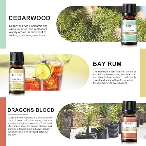 Miniatura 5 de EUQEE 6 aceites aromáticos para hombres, juego de regalo de pubs para hombres, aceites aromáticos de primera calidad, 0.3 fl oz de piel, neblina de