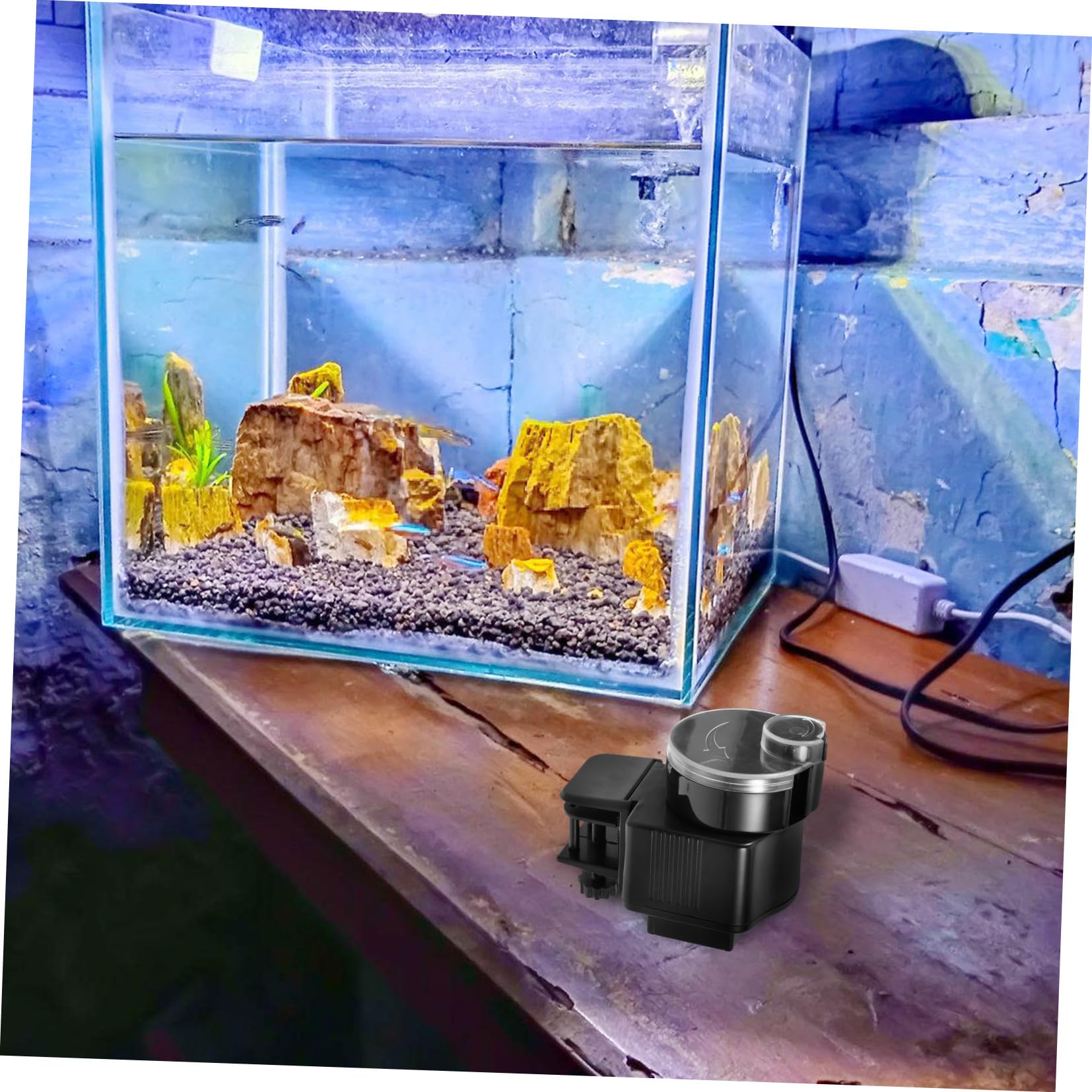 VICASKY Distributeur Automatique pour Poissons Aquarium sans Piles Distribuant Nourriture Précisément