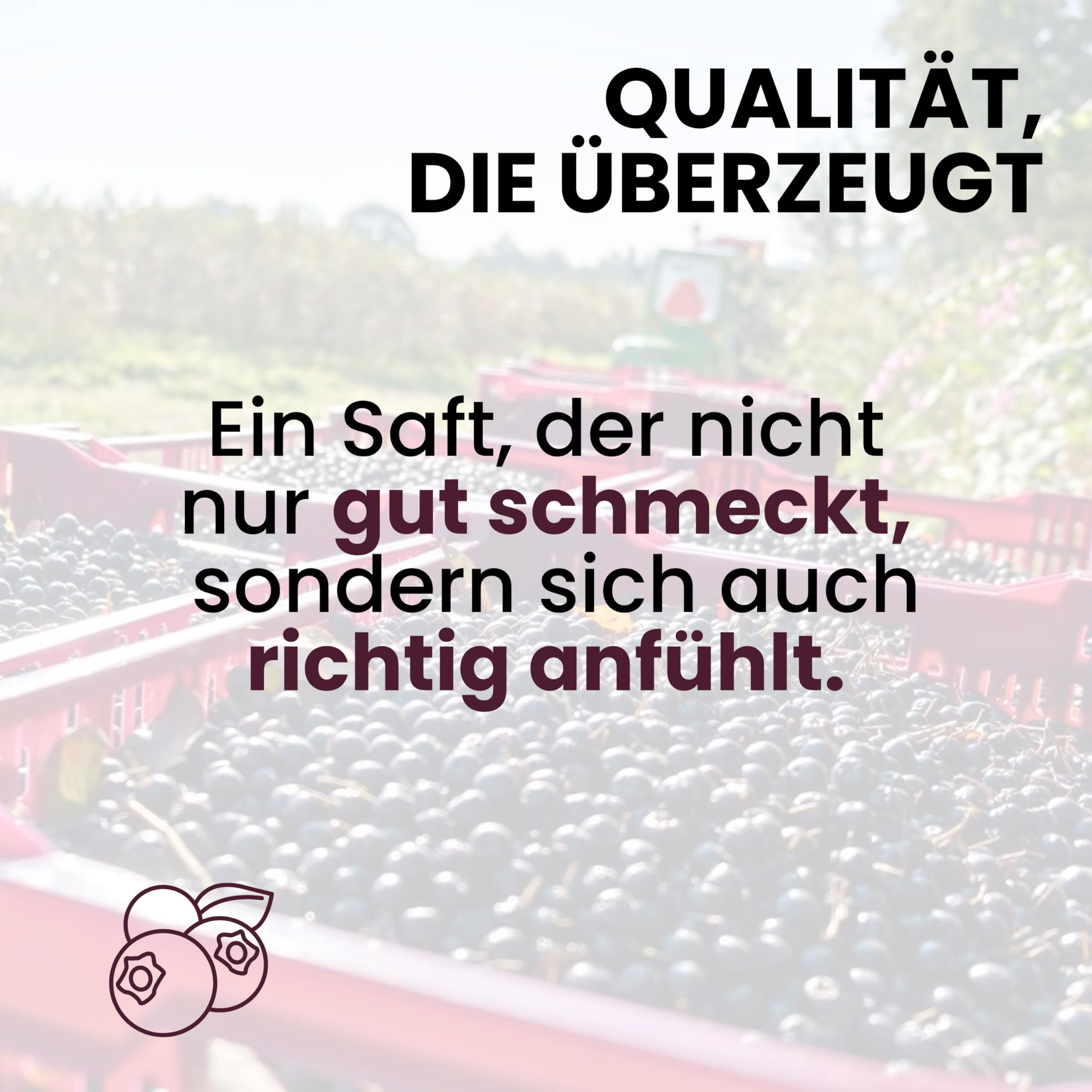 anglebenhof Aronia Direktsaft, Muttersaft, [100% Demeter und Bio] 3 Liter Box, Der Milde" Aroniasaft für Ernährungsbewusste, Aroniasaft aus Deutschland, Aronia Beeren Saft-sehr lange haltbar (2 x 3 L)