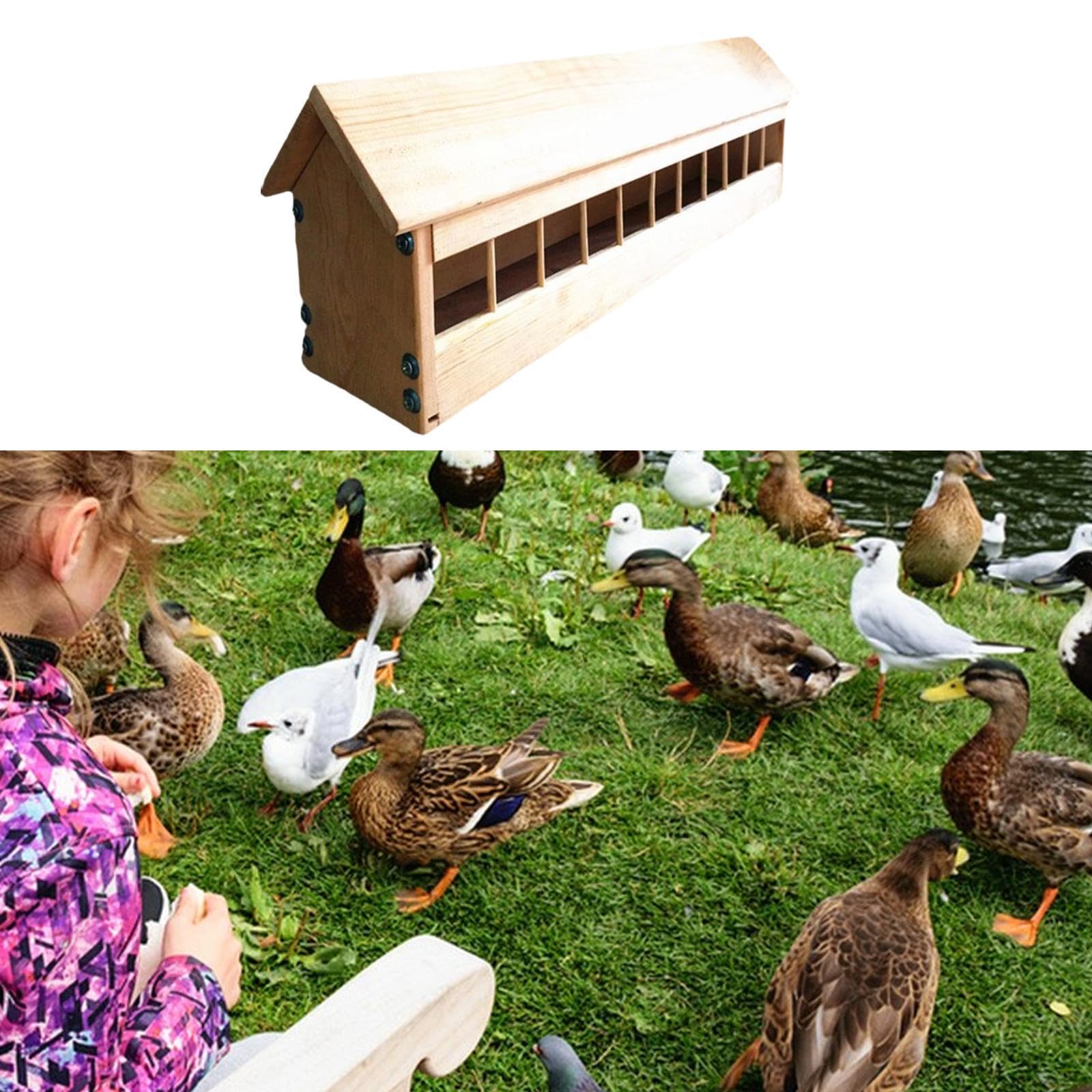 Baoblaze Wooden Pigeon Feeder, Food Dispenser Tool,Bird Dispenser Slot Container, Backyard Less Waste Food Dispenser Chicken Feeder for Pigeon Chicken Duck Bird