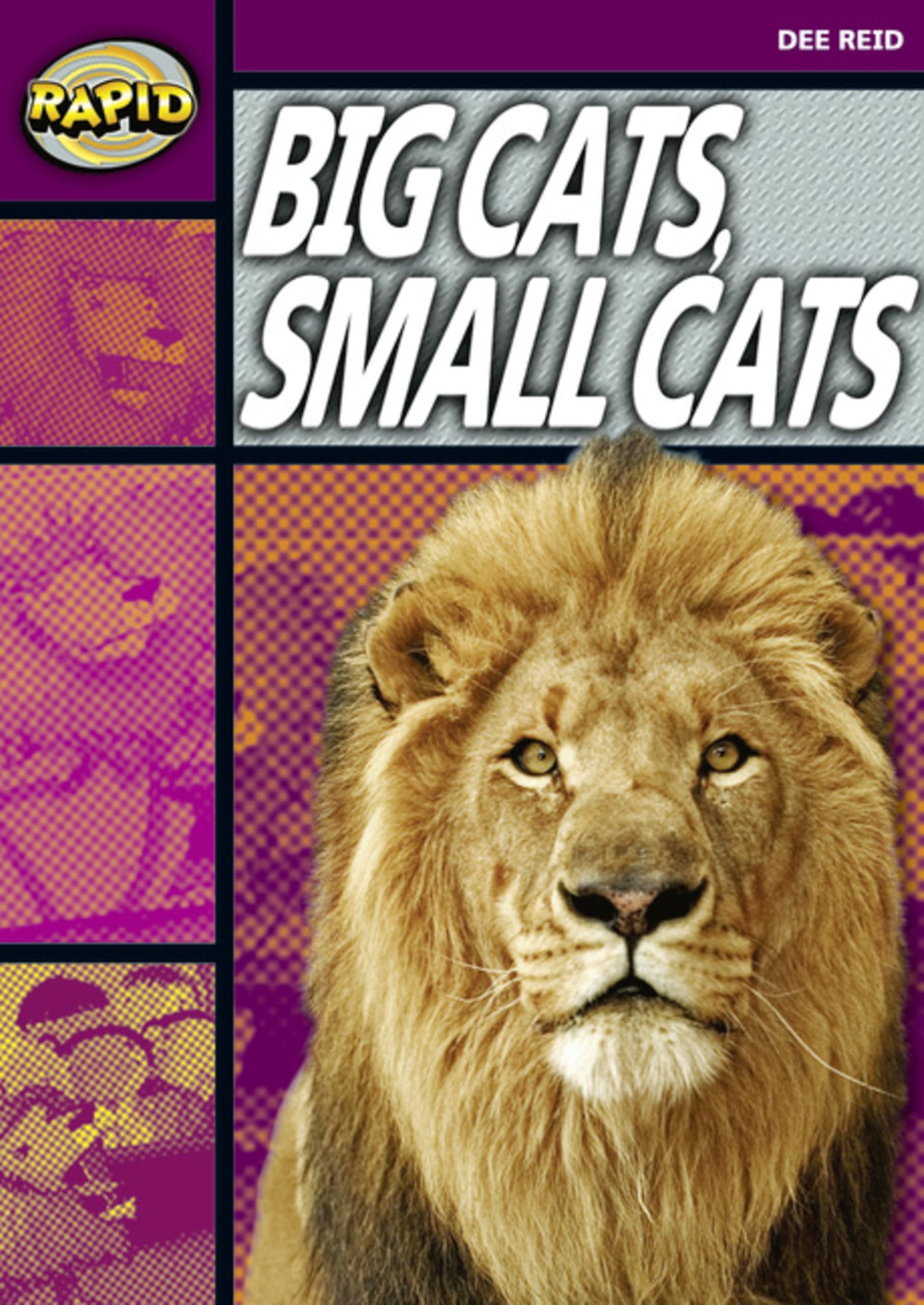 Rapid Reading: Big Cats Small Cats (Stage 1, Level 1A) by Dee Reid