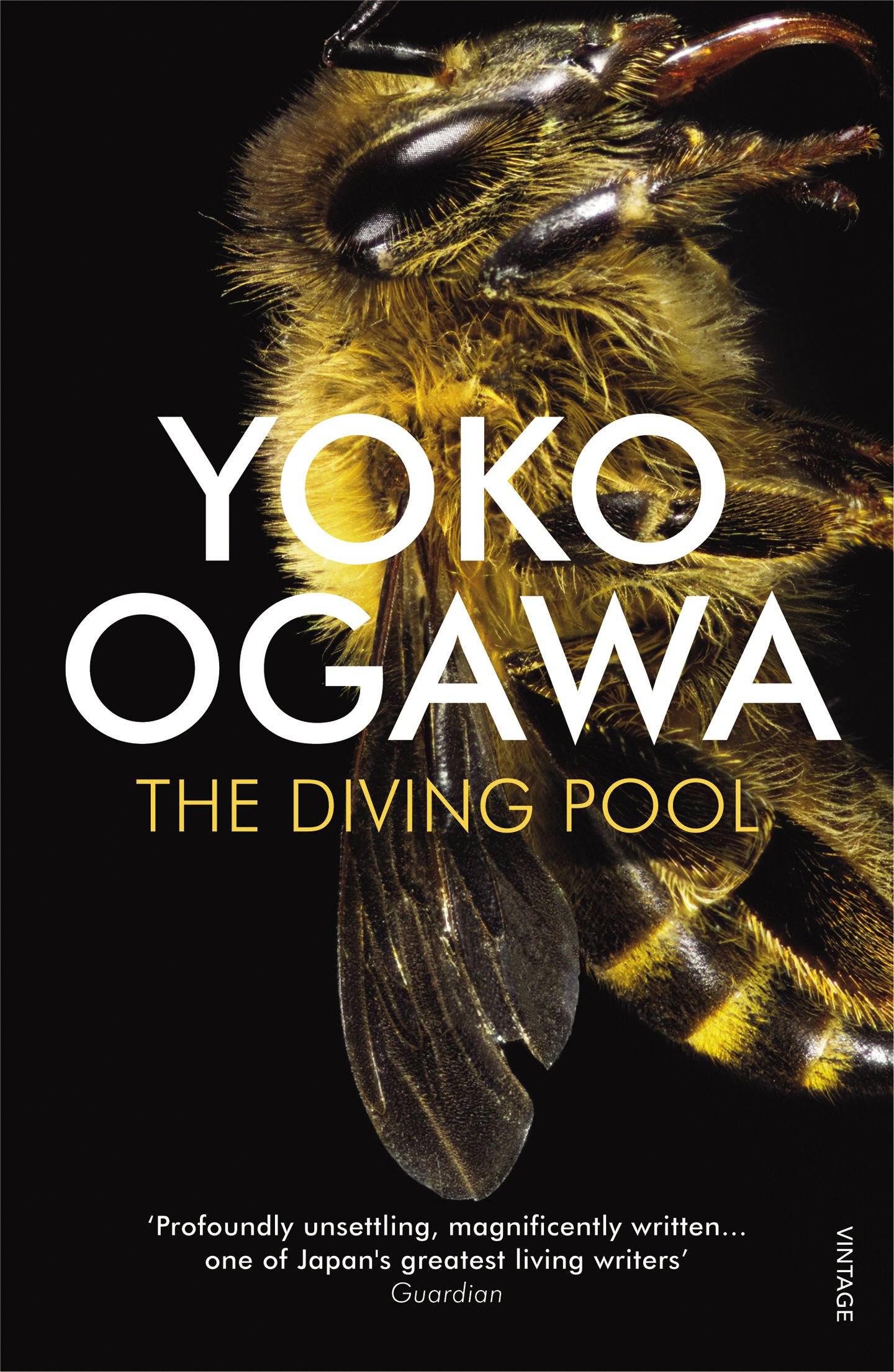 The Diving Pool: Amazon.co.uk: Ogawa, Yoko, Snyder, Stephen
