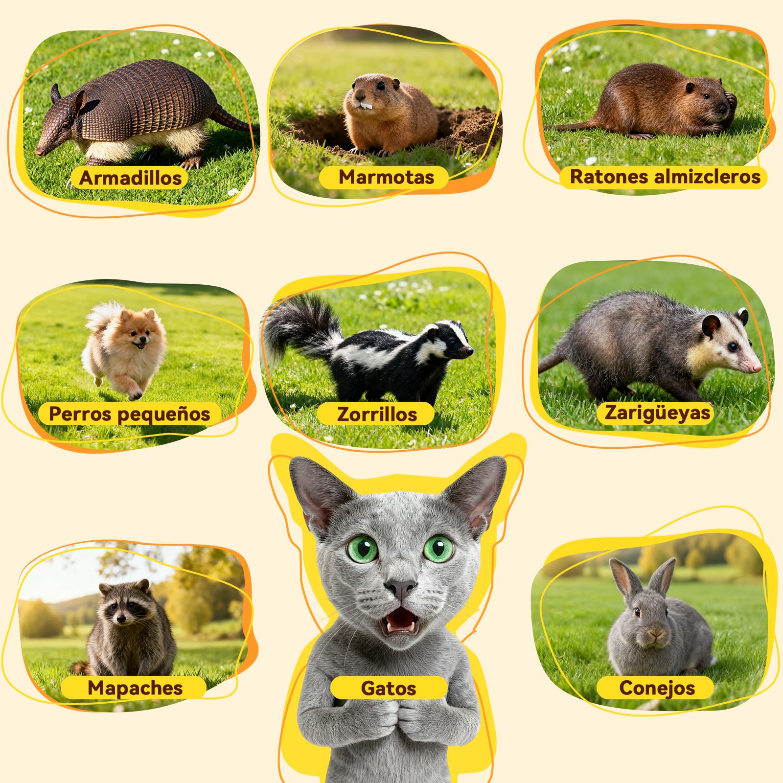 Jaula Plegable para la Captura de Animales Vivos 78×29×30 cm | Jaula de captura humanitaria, adecuada para capturar gatos callejeros, mapaches, ardillas y conejos
