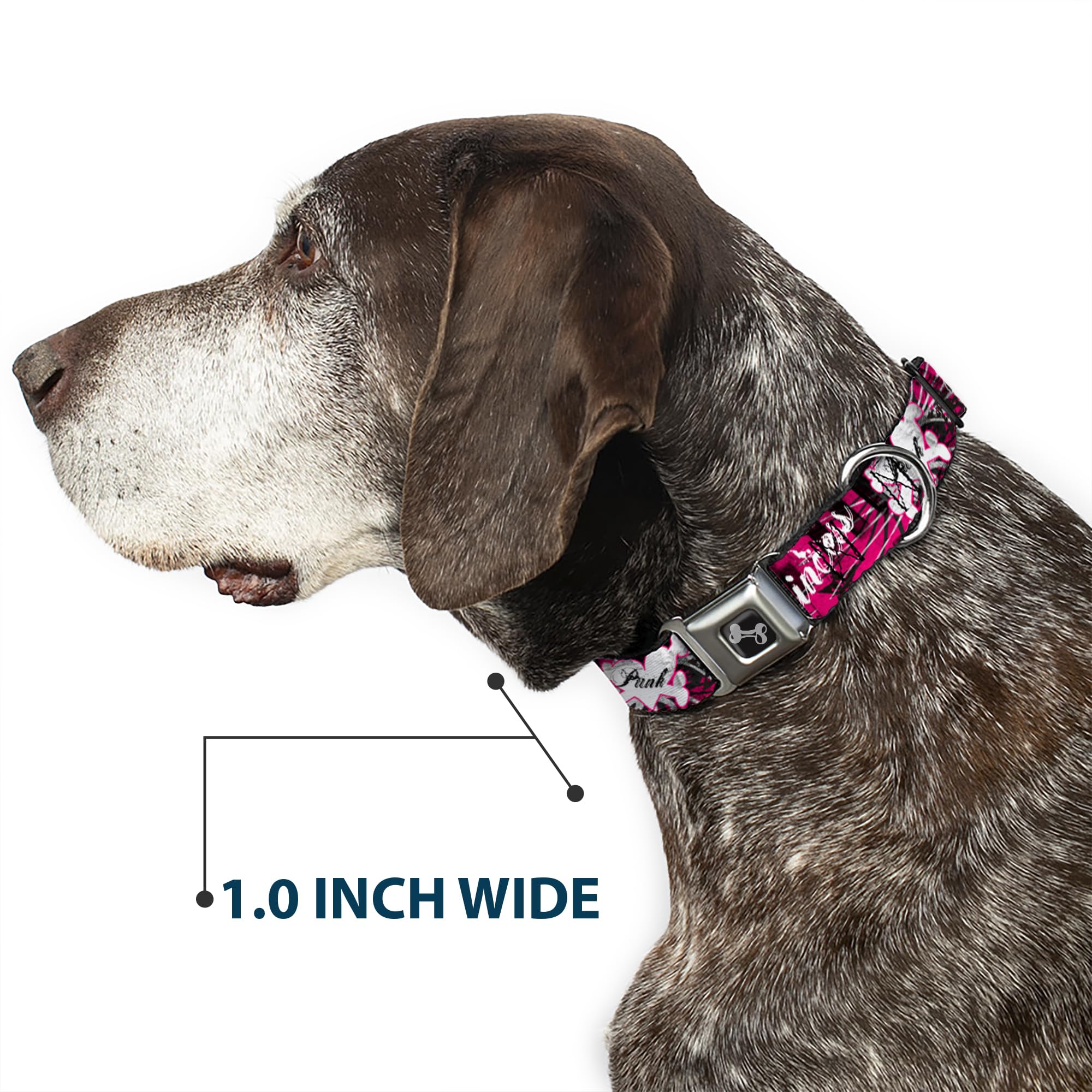 Buckle-Down Hundehalsband „Punk Prinzessin“ – Sicherheitsgurt-Schnalle, 38–66 Cm, Aus Strapazierfähigem Nylon