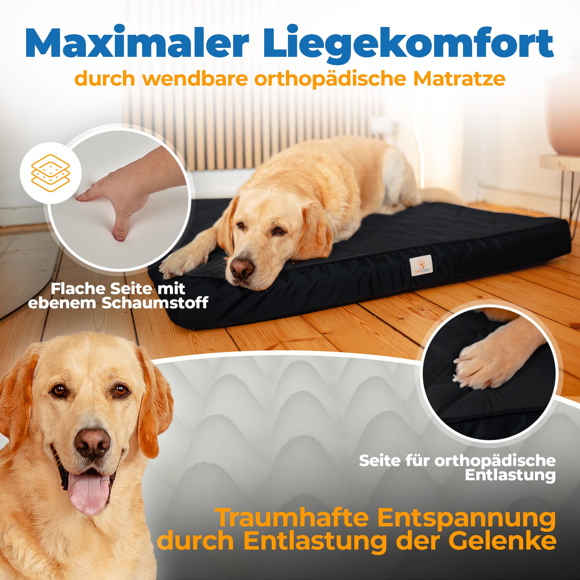 Cama ortopédica para perros resistente al agua – La nueva alfombra favorita para perros de tu nariz de pelo, cojín antideslizante para perros, cesta para perros, funda lavable | perros pequeños a