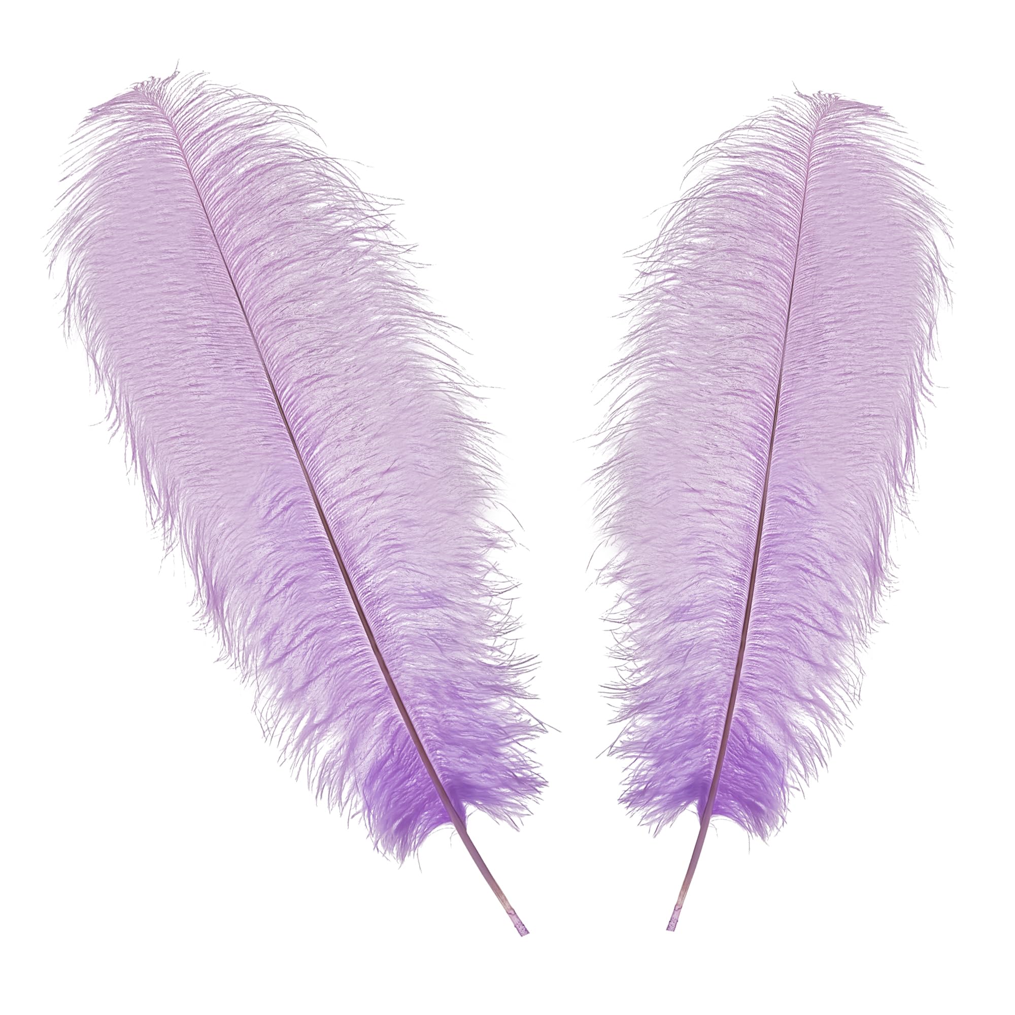 WedDecor Extra Large Light Lilac Natural Ostrich Feathers 19-23 Inch, 10pcs
