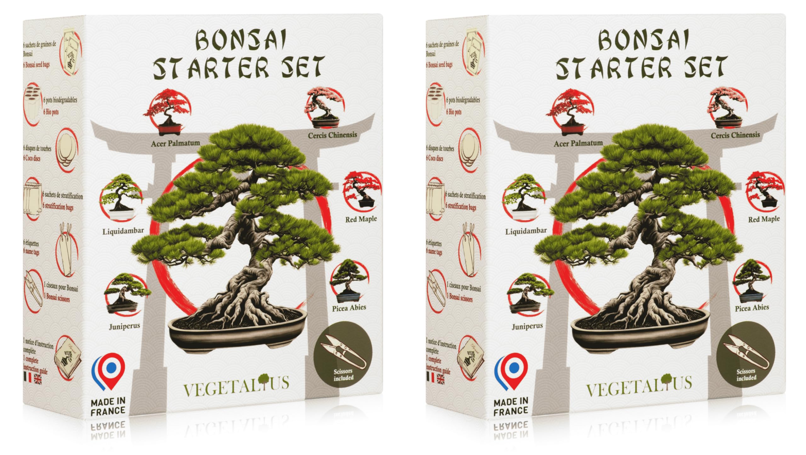 Komplettes Set mit 6 Bonsai mit Samen und Zubehör x2 - Made in France - Eine originelle Geschenkidee für Männer und Frauen für Ihr Zuhause oder Ihren Garten