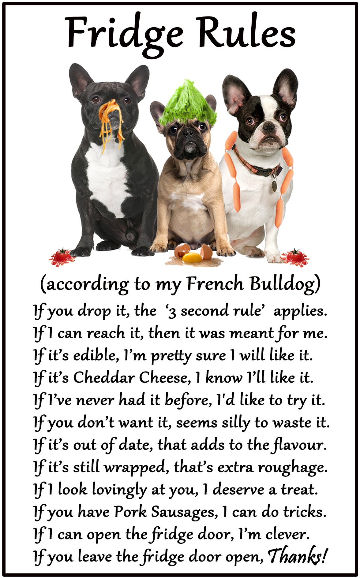 Fridge Magnets Fawn, Brindle, Black French Bulldog (Frenchie) Gift - Fridge Rules - Large Fun Flexible Fridge Magnet- Size 16Cms X 10 Cms (Approx. 6" X4")