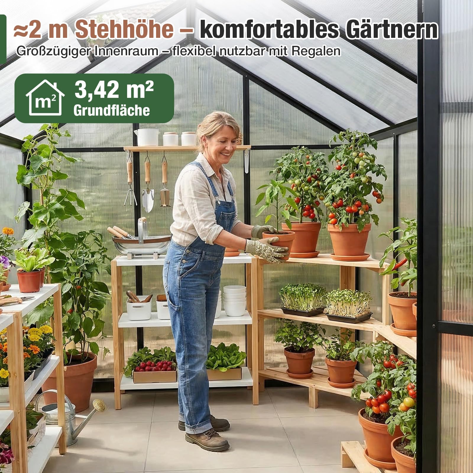 Sekey Gewächshaus Aluminium Treibhaus für Garten & Pflanzen - Stabiles Tomatenhaus wetterfest & Winterfest, 4 mm Hohlkammerplatten, nach außen öffnende Tür mit verlängertem Griff, 185x185x195cm