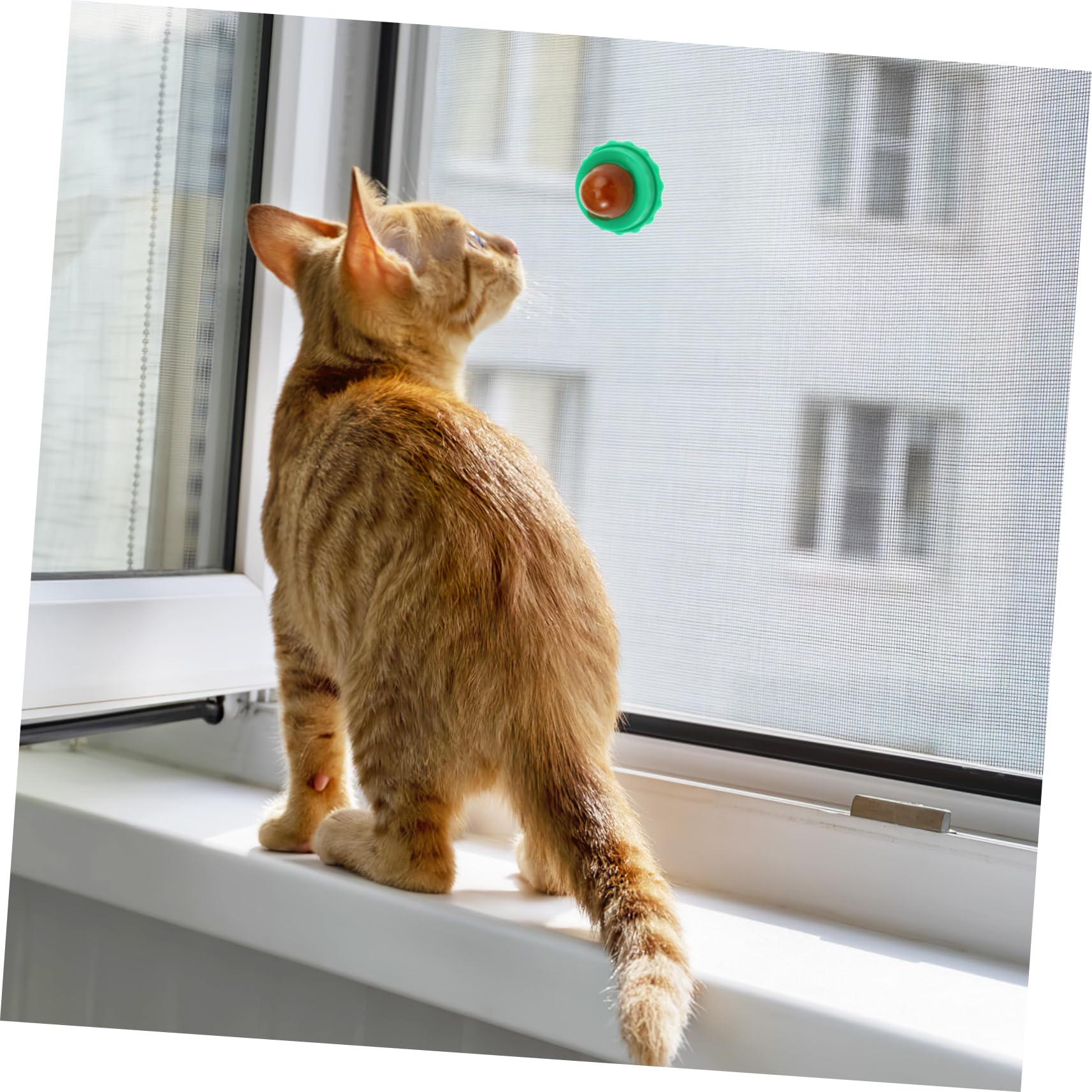 30pezzi Cat Snacks Candy con Catnip Lollipop alla Vitamina e Pesce per Gatti Gusto Casual Nutrienti e Facili da Attaccare al Muro Snack Lickable per Cani e Gatti