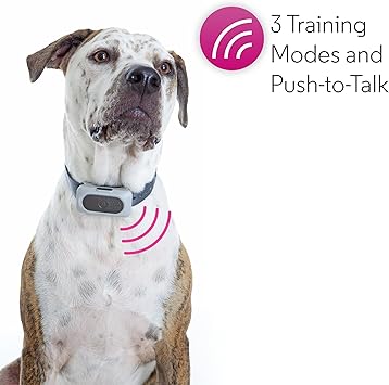 Motorola dog shock collar Clearance