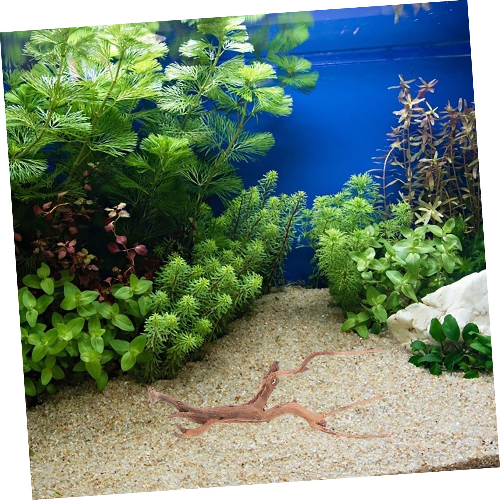 Toddmomy 3piezas Madera Flotante para Pecera Decoración Natural De Madera Flotante para Acuario Adorno De Tocón De Planta para De Acuario para Peceras y Hábitats De Reptiles