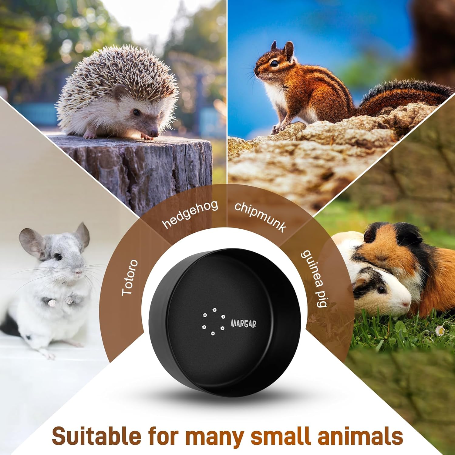 https://m.media-amazon.com/images/I/81Oa1PICgmL._AC_SL1500_.jpg