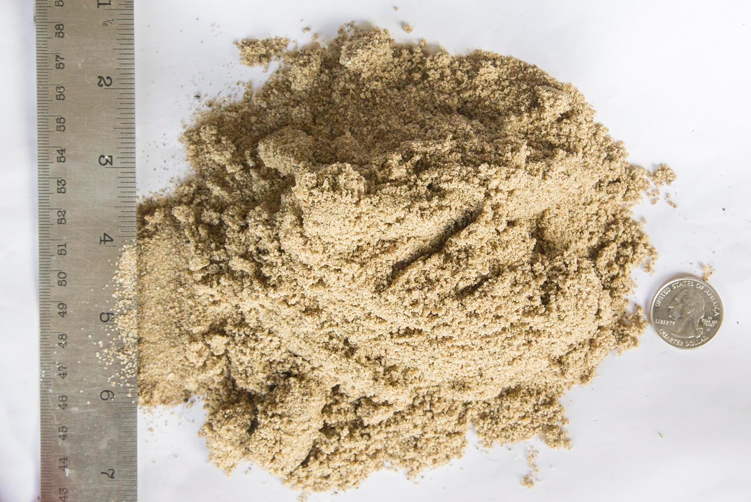 Fine Masonry Sand, Washed & Screened, for Mortar, Paver Joints, and Leveling Base (20 lbs)