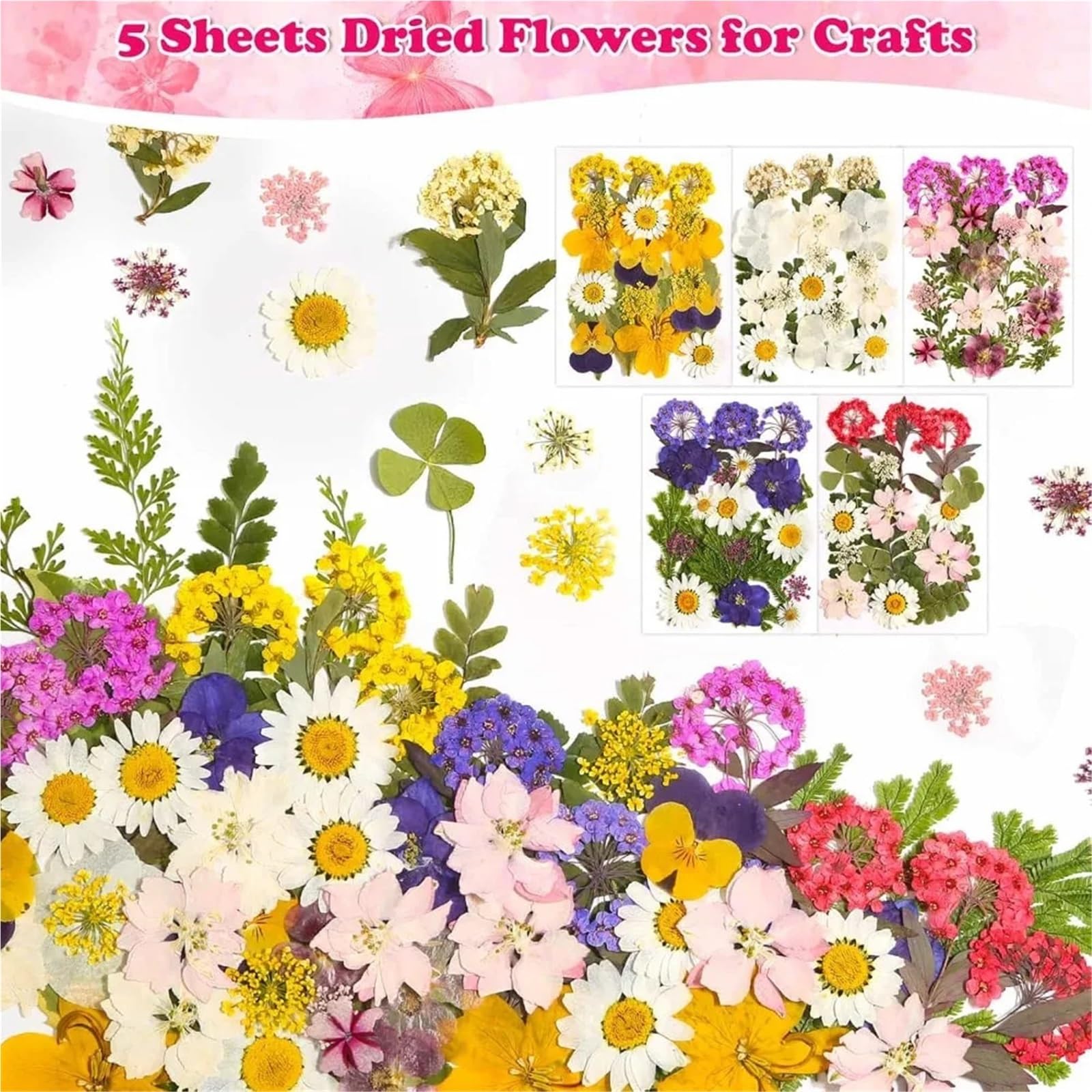 Fiori Pressati ed Essiccati 100 pezzi 5 fogli di fiori pressati secchi