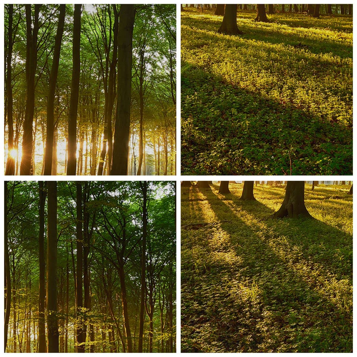 Cuadros Decoracion Salon Bosque verde sol rayos naturaleza Lienzos decorativos 120x80cm Cuadro Sobre Lienzo Moderno Dormitorio Cuadros Pared Imágenes Wall Art Prints Decor Grande XXL AA120x80-2510
