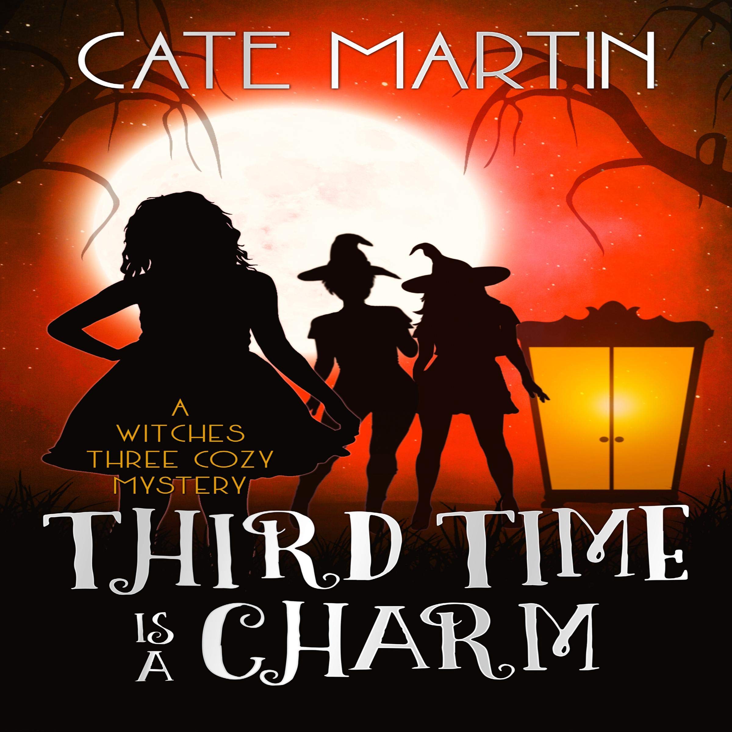 Cover art for Third Time Is a Charm