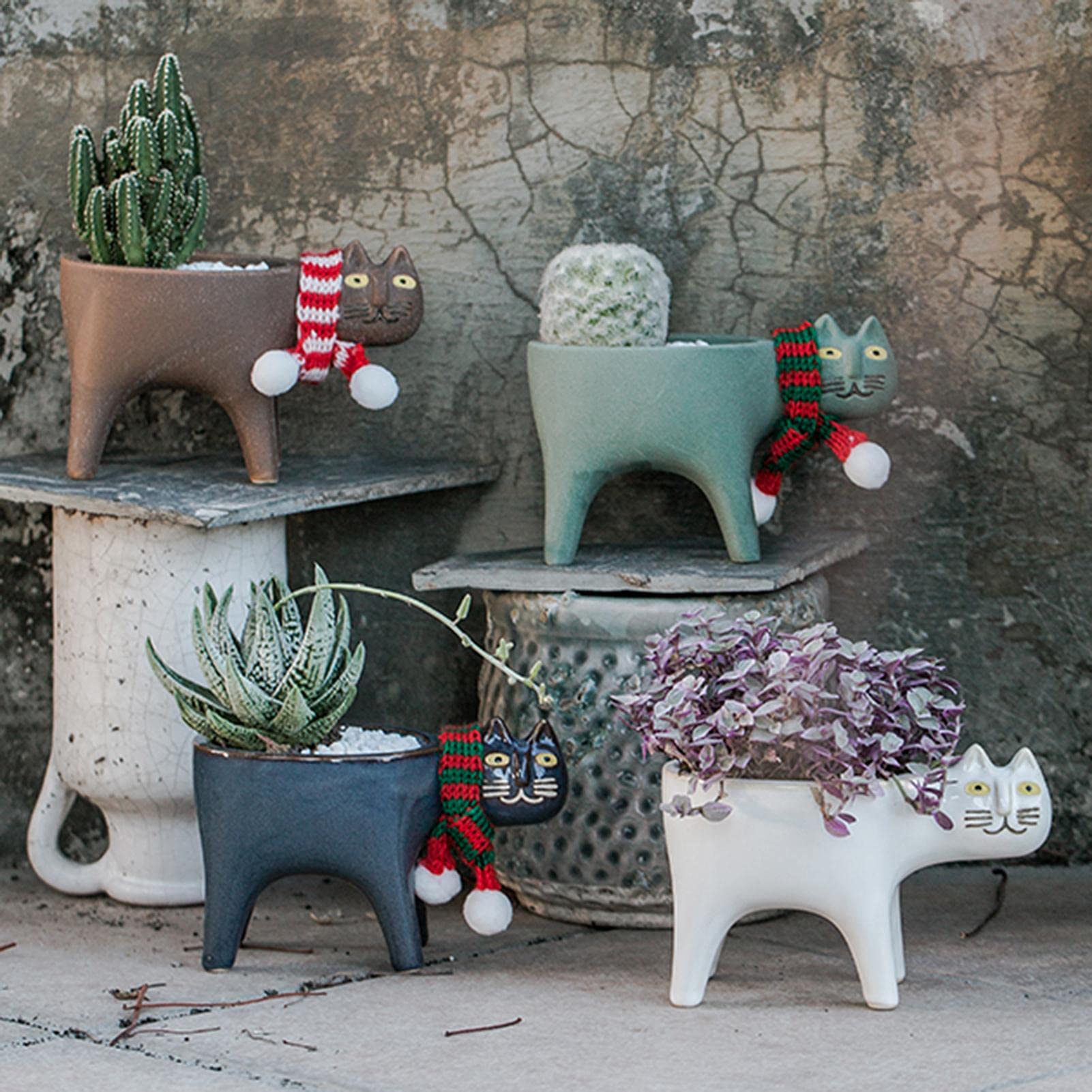 Vasi per piante grasse, 9 cm, a forma di gatto, in ceramica, con vassoio in bambù, decorazione per casa, giardino, ufficio, pianta non inclusa, giallo