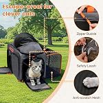 Cat Carrier Soft Sided Airline Approved for Small Pet Dog Travel | Foldable Top Loading Bag for Medium Animal Kitten Puppy Long Car Trip, Expandable Large Carriers for Kitty Under 20 lb