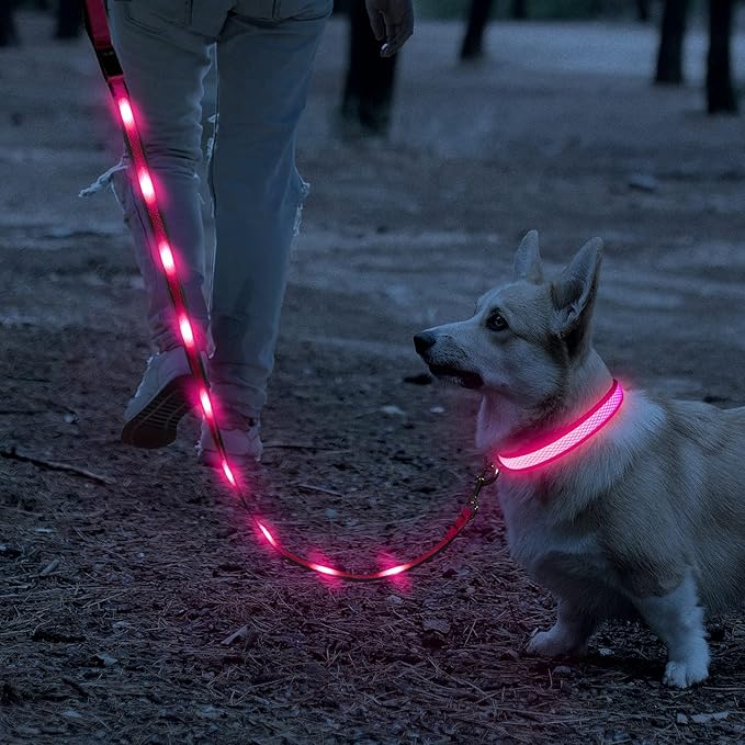 Led dog collar and leash set Clearance