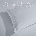 Elegant Comfort Luxury Premium Hotel Quality Microfiber 4-Piece Sheet Set - Wrinkle Resistant, All Around Elastic Fitted Sheet, Deep Pocket up to 16", Queen, Silver