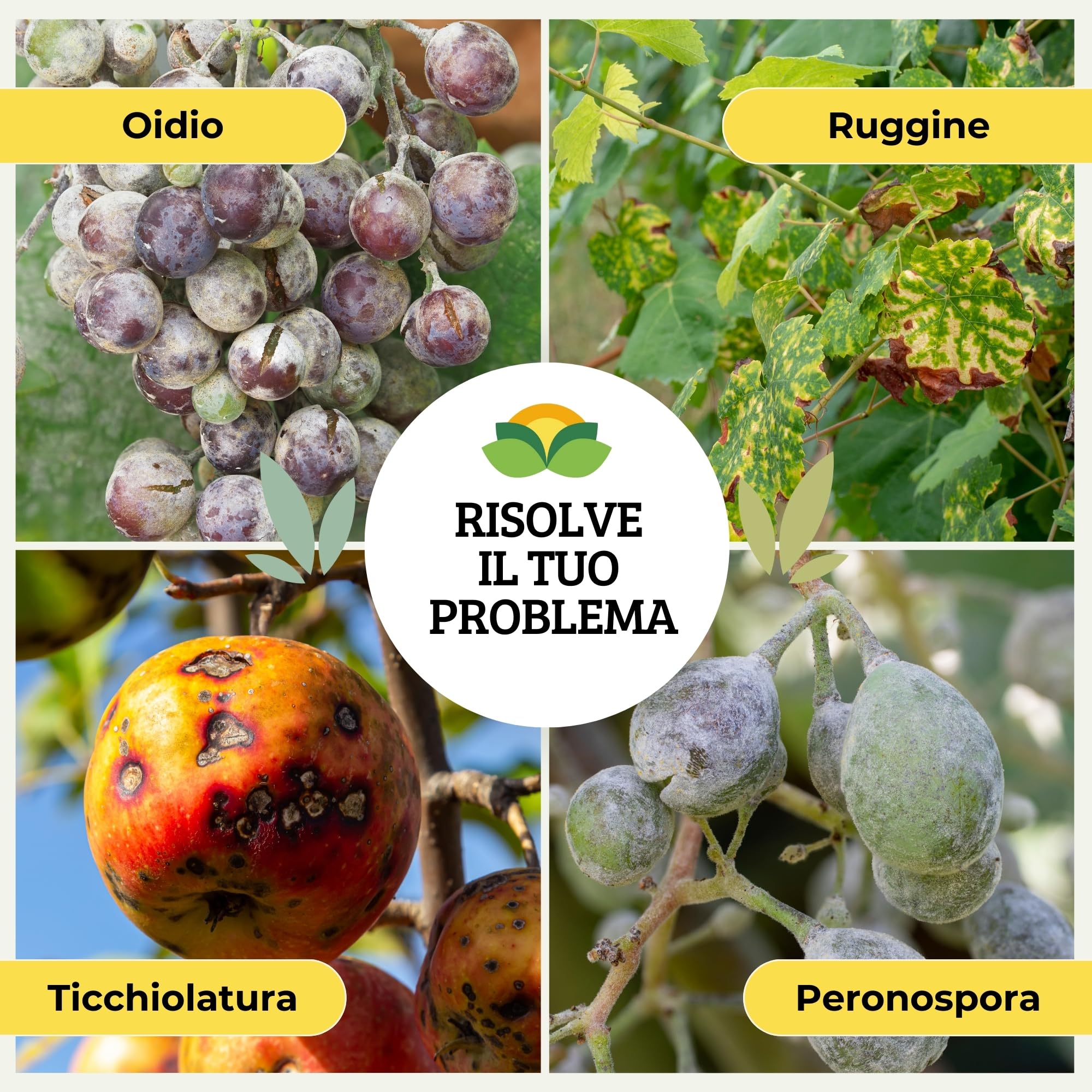 Albagarden - Polti20 Bordolese Biologico 5 kg - con Rame Naturale + Boro Per Piante Frutta Orto Vite - Contro Peronospora Oidio Verderame Solfato Ossicloruro