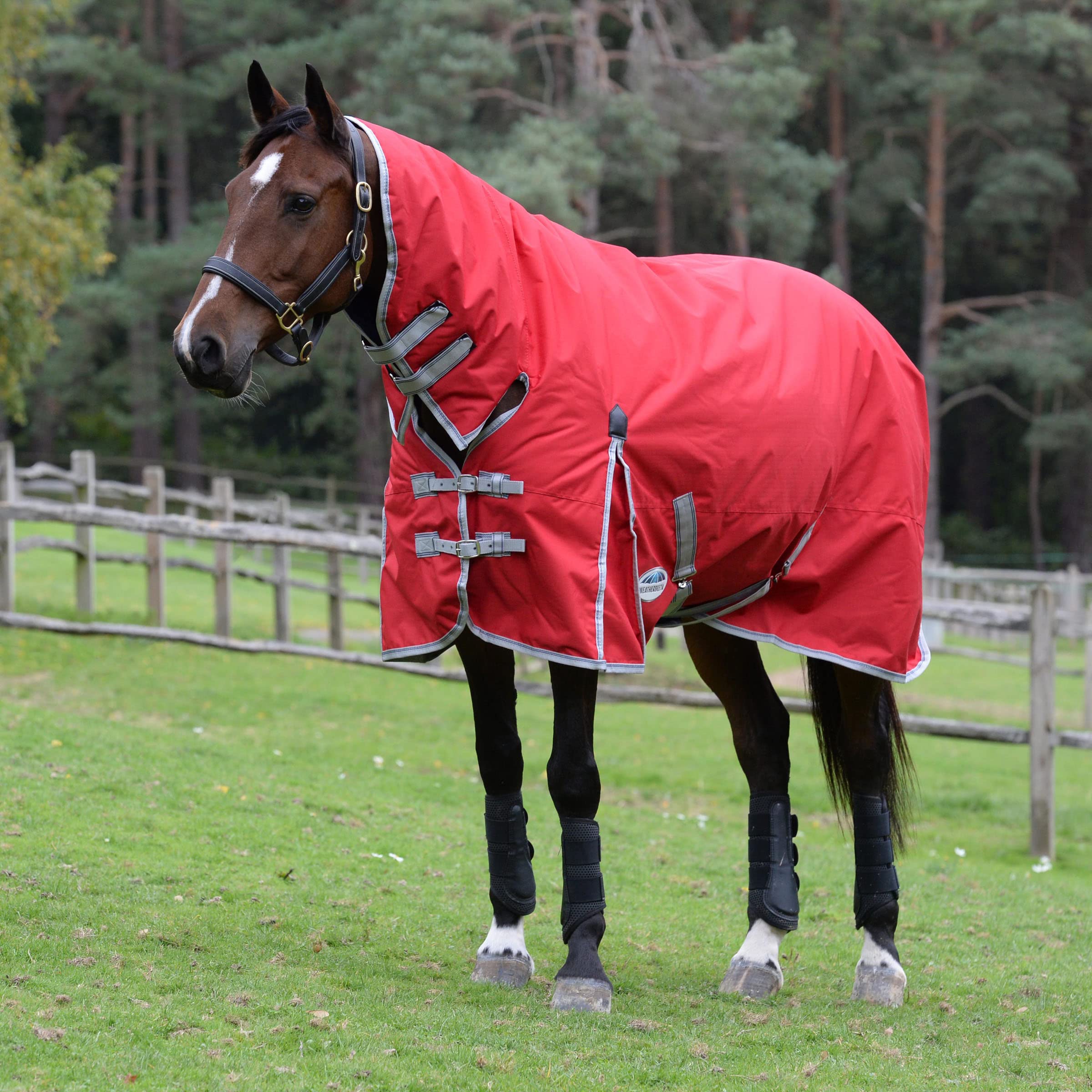Weatherbeeta, Comfitec Essential, Combinazione di coperta e collare, pesante, Navy/Silver/Red