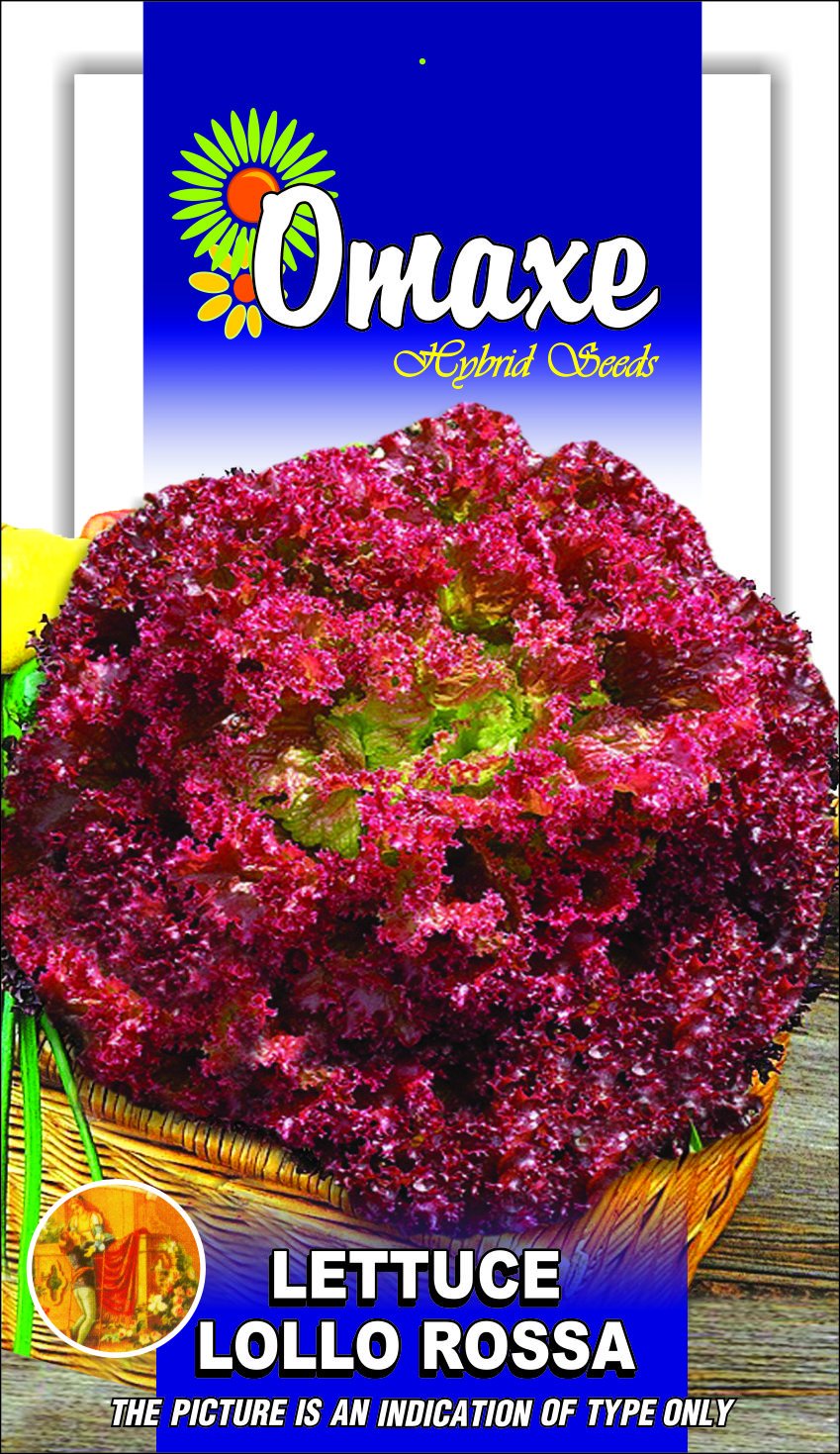Omaxe Lettuce Lollo Rosso - 100 Seeds Pack Exotic Seeds (B00LC0MXWK) Amazon Price History, Amazon Price Tracker