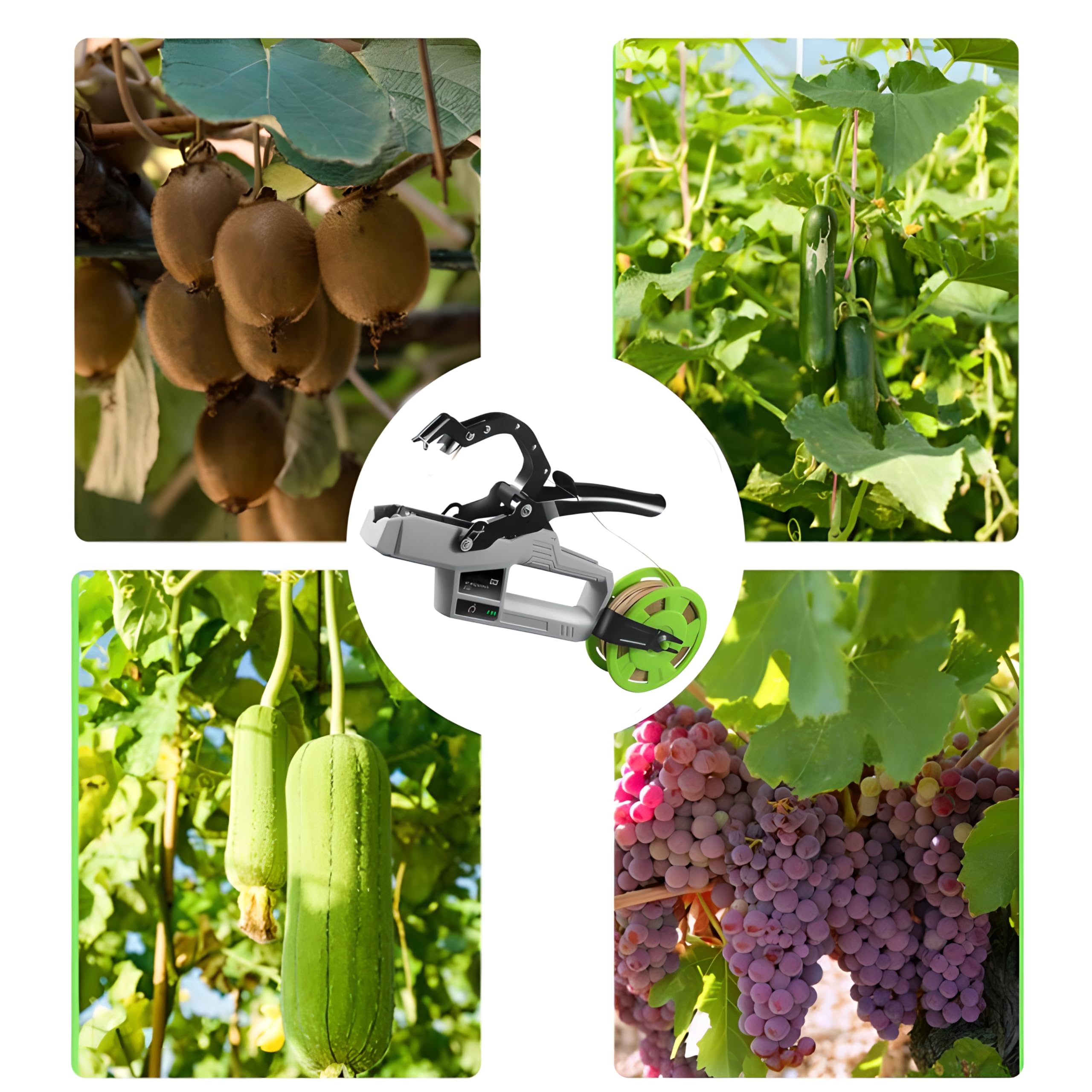 Máquina atadora Plantas eléctrica, máquina atadora Plantas con batería 2000 Mah y 2 * Cintas flejado, diámetro máximo Atado 45 mm, para Atar Tomates, Verduras y Uvas jardín
