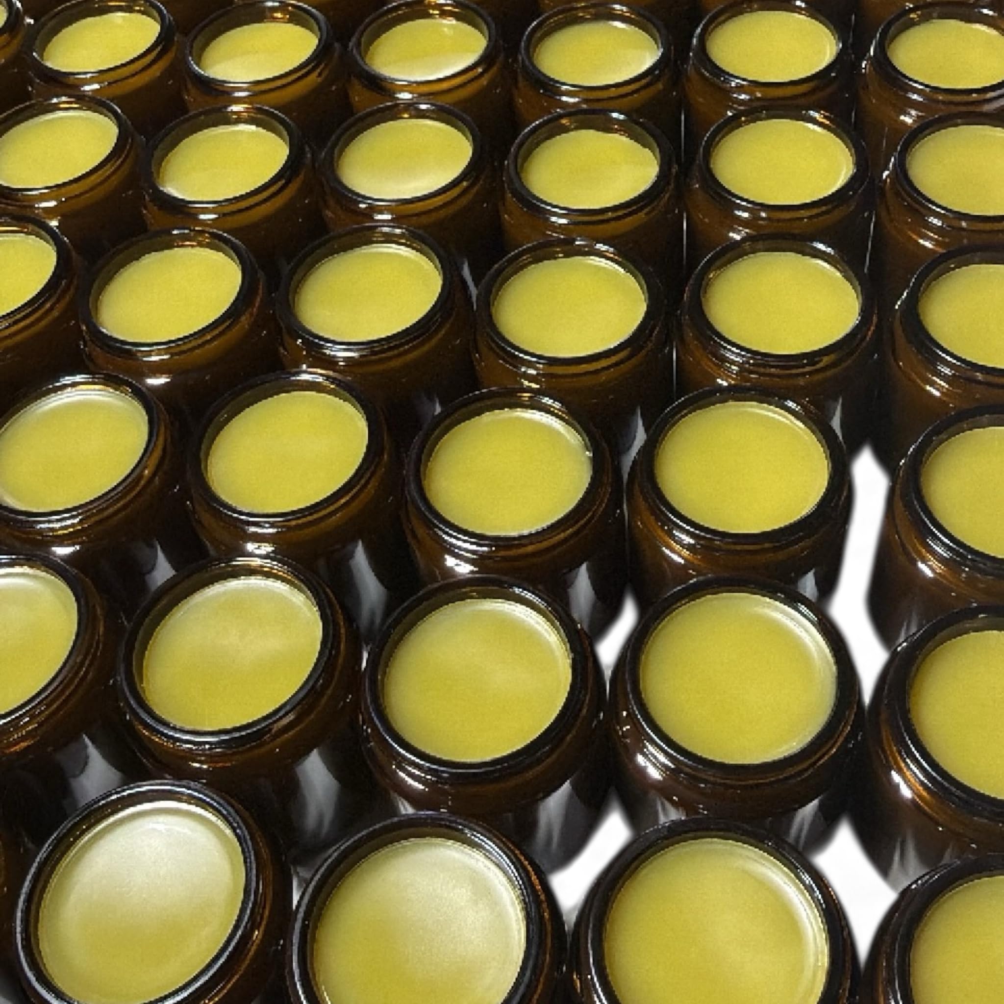 Amazon.com : Organic Nettle Salve (Žara-Kopriva) 4 oz : Health