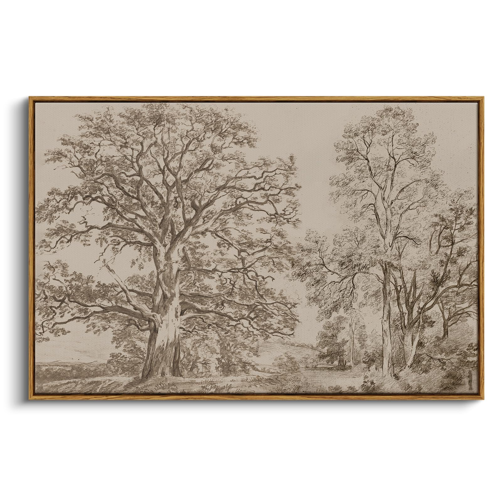 InSimSea Framed Canvas Prints Tree Sketch
