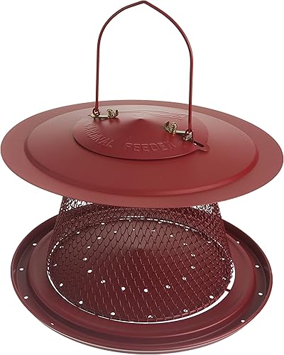 Miniatura 4 de NoNo Red Cardinal c00322 alimentador de aves Paquete de 1 Rojo