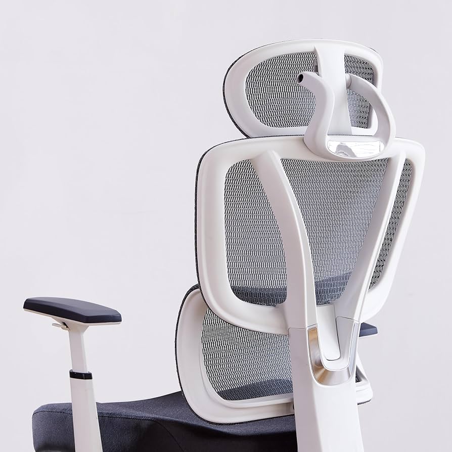 Amazon.com: Livinia Ergonomic Mesh Executive Office Desk Chair