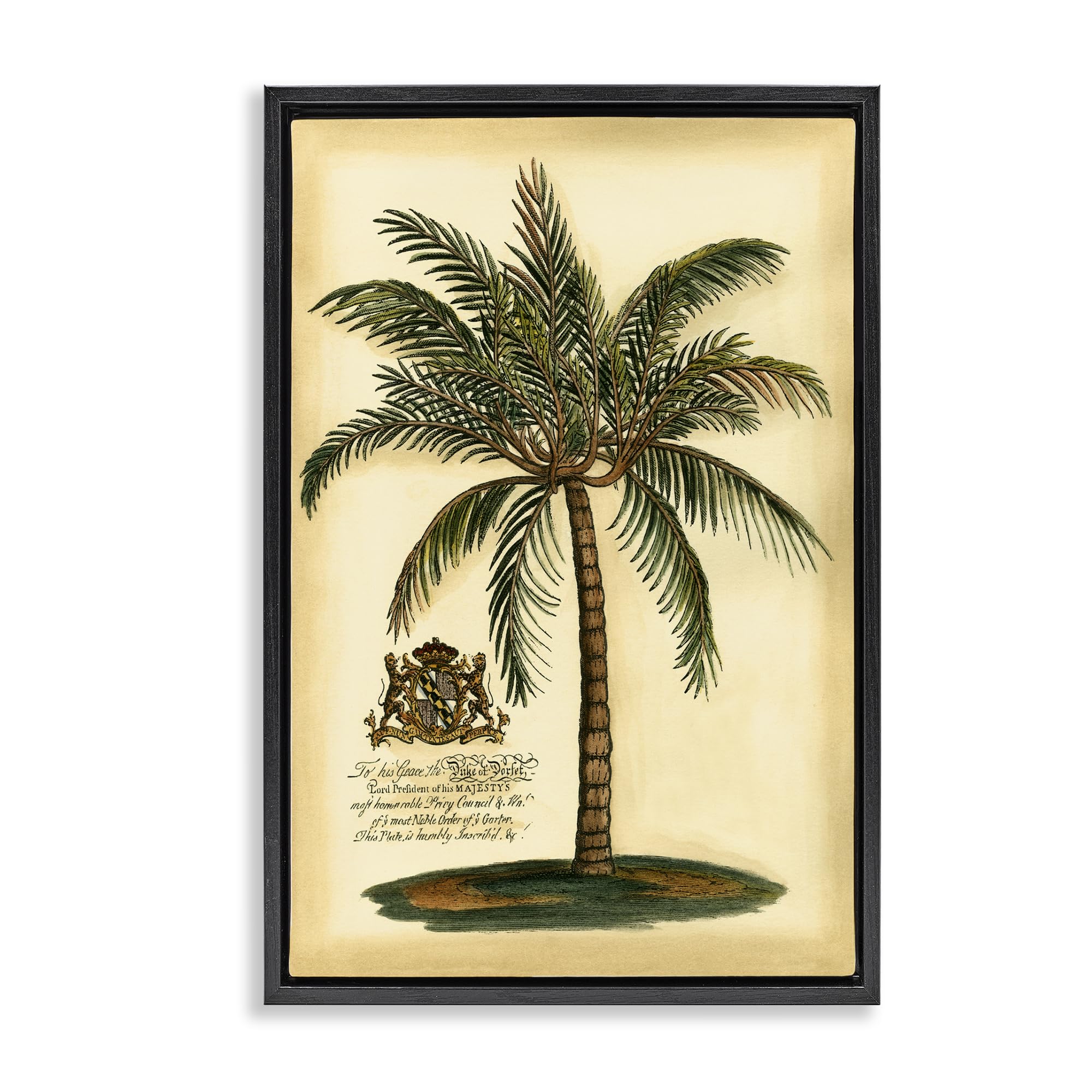Stupell Industries Jet Black (Matte) 'British Colonial Palm'| Floating Frame Canvas Art