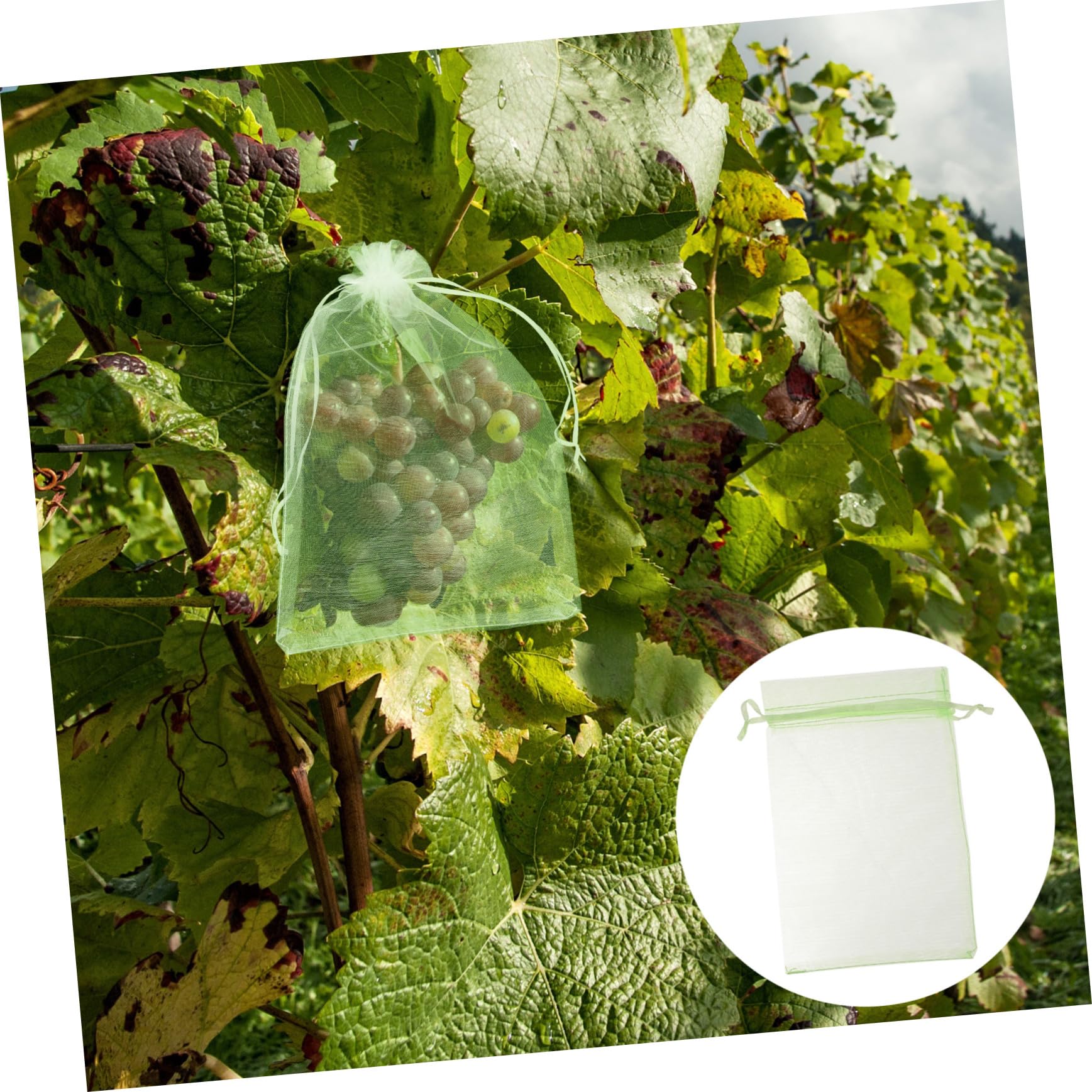100 Piezas Bolsas Protectoras para Frutas y Malla Verde Protección contra Pájaros Insectos para Huertos y Plantaciones