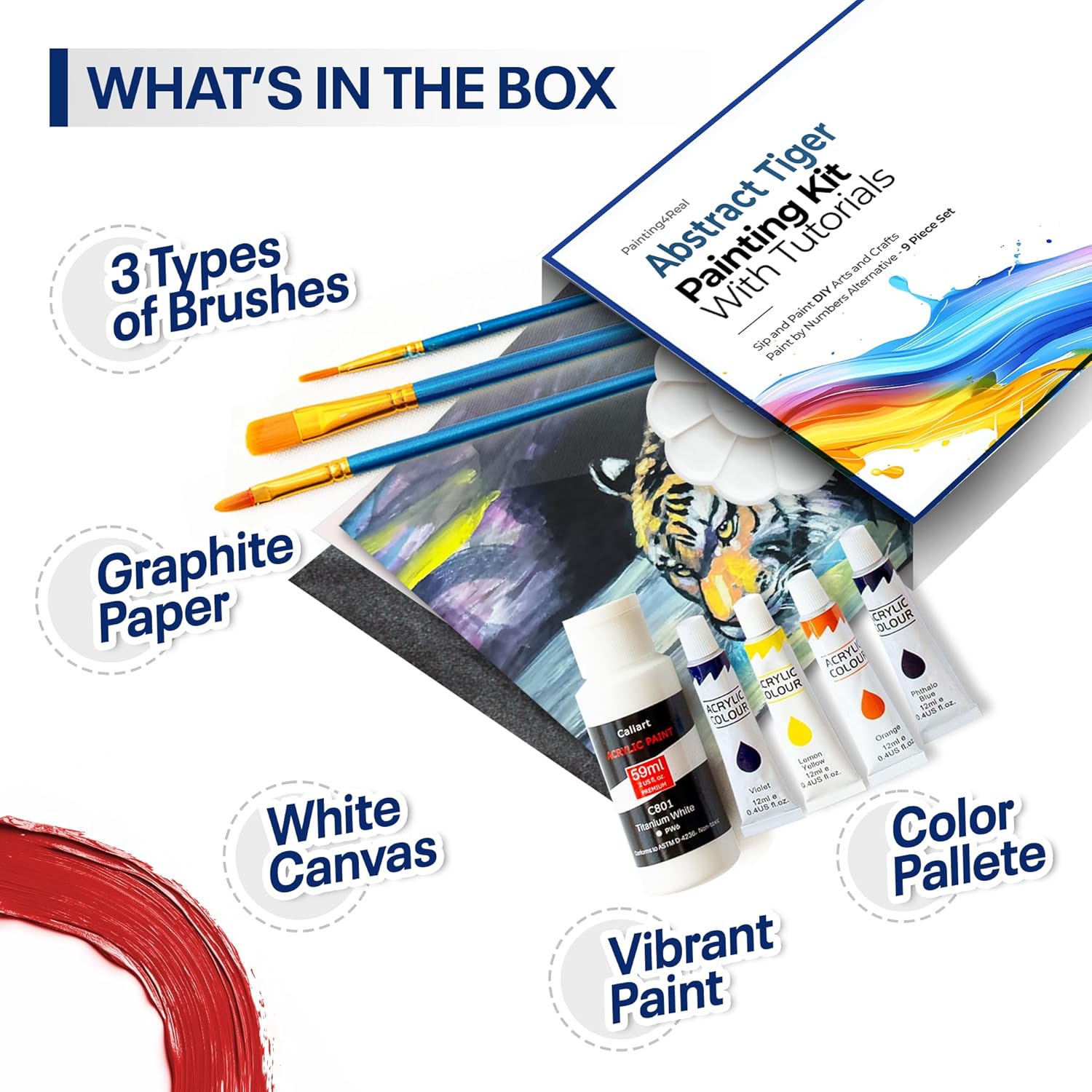 DIY Painting Class Kits for Adults with Video Tutorials, Learn to Paint Abstract Tiger, How to Paint with Acrylic Paint Sets for Adult, 9 Peices Art Set & Painting Supplies Gifts for Mom