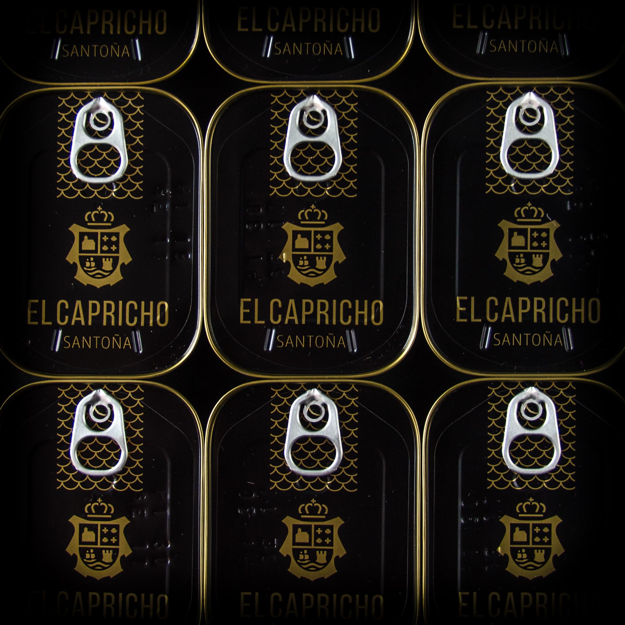 EL CAPRICHO Filetes de Anchoa de Santoña Dingley S en Aceite de Oliva Virgen Extra, 24 Filetes, 95 g Neto (Pack de 2)