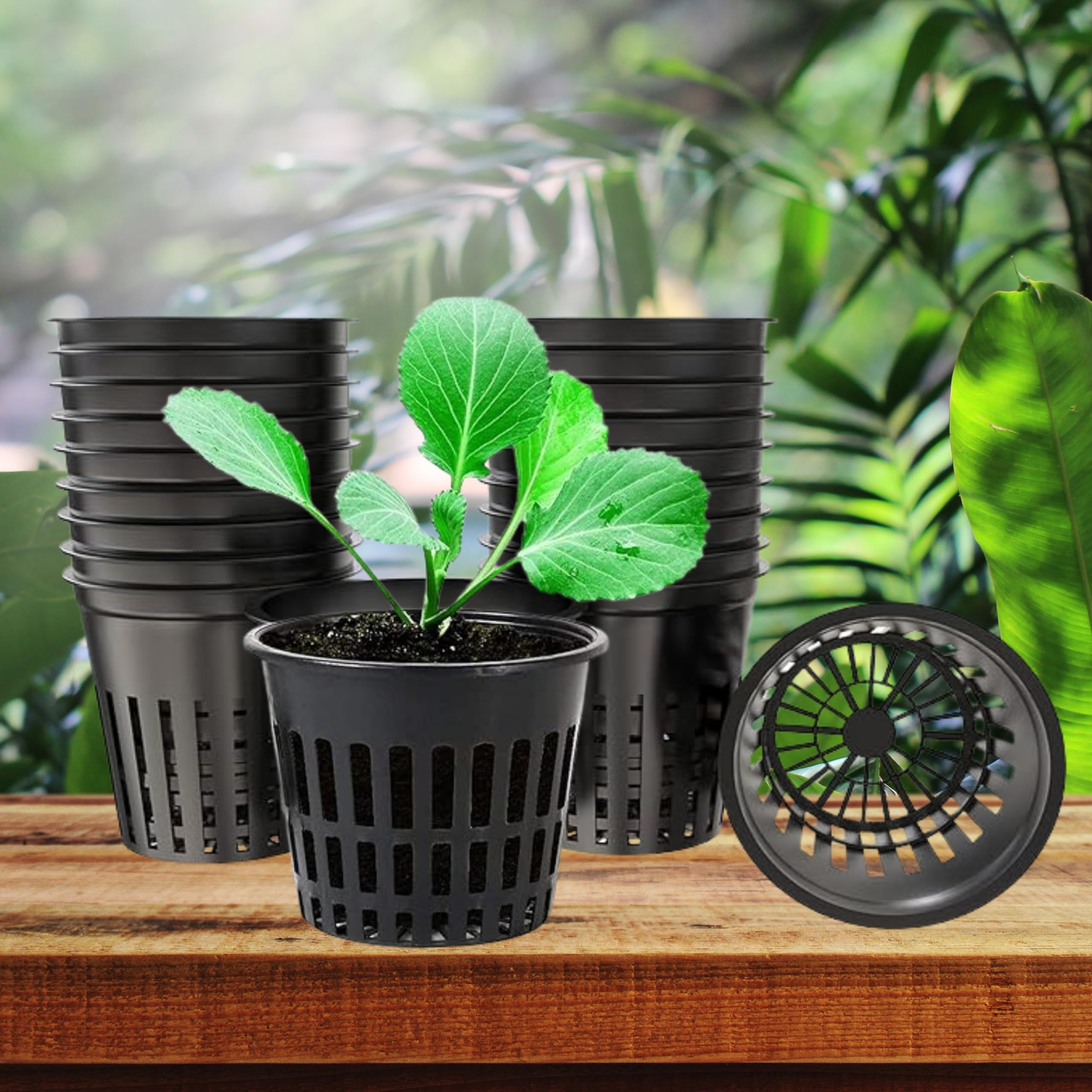 See full amazon price history chart for Gardening Grow 20 Pieces 2 Inches Net Cups Slotted Mesh Wide Lip Heavy Duty Filter Plant Net Pot Bucket Basket for Hydroponics | Pack of 20 Gardening Grow 20 Pieces 2 Inches Net Cups Slotted Mesh Wide Lip Heavy Duty Filter Plant Net Pot Bucket Basket for Hydroponics | Pack of 20 (B0CNX745B4) Amazon Price History, Amazon Price Tracker