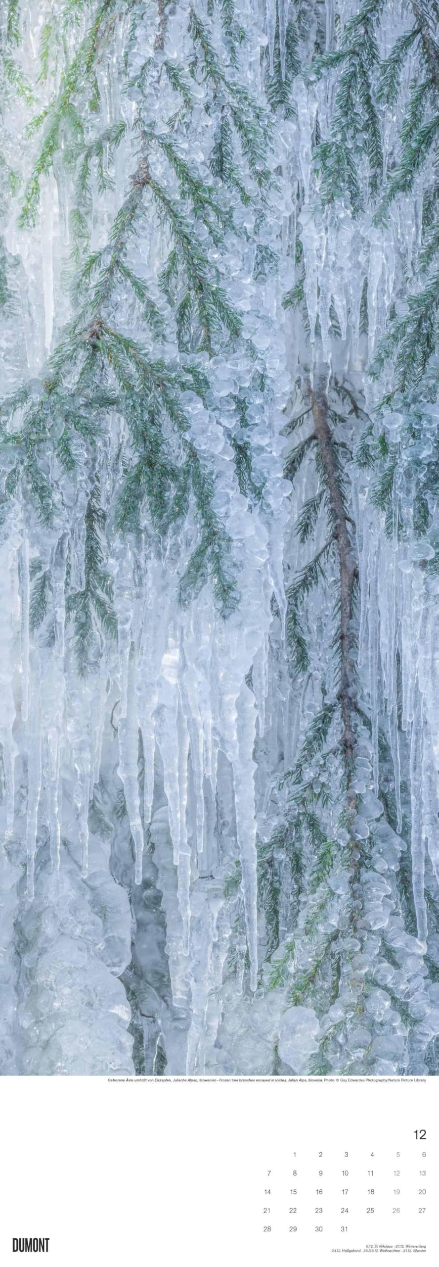 DUMONT - Alberi 2026 – Calendario da parete King-Size 34×98 cm con 12 fotografie di alberi di tutto il mondo, calendario della natura per gli amanti della natura e degli alberi: Trees