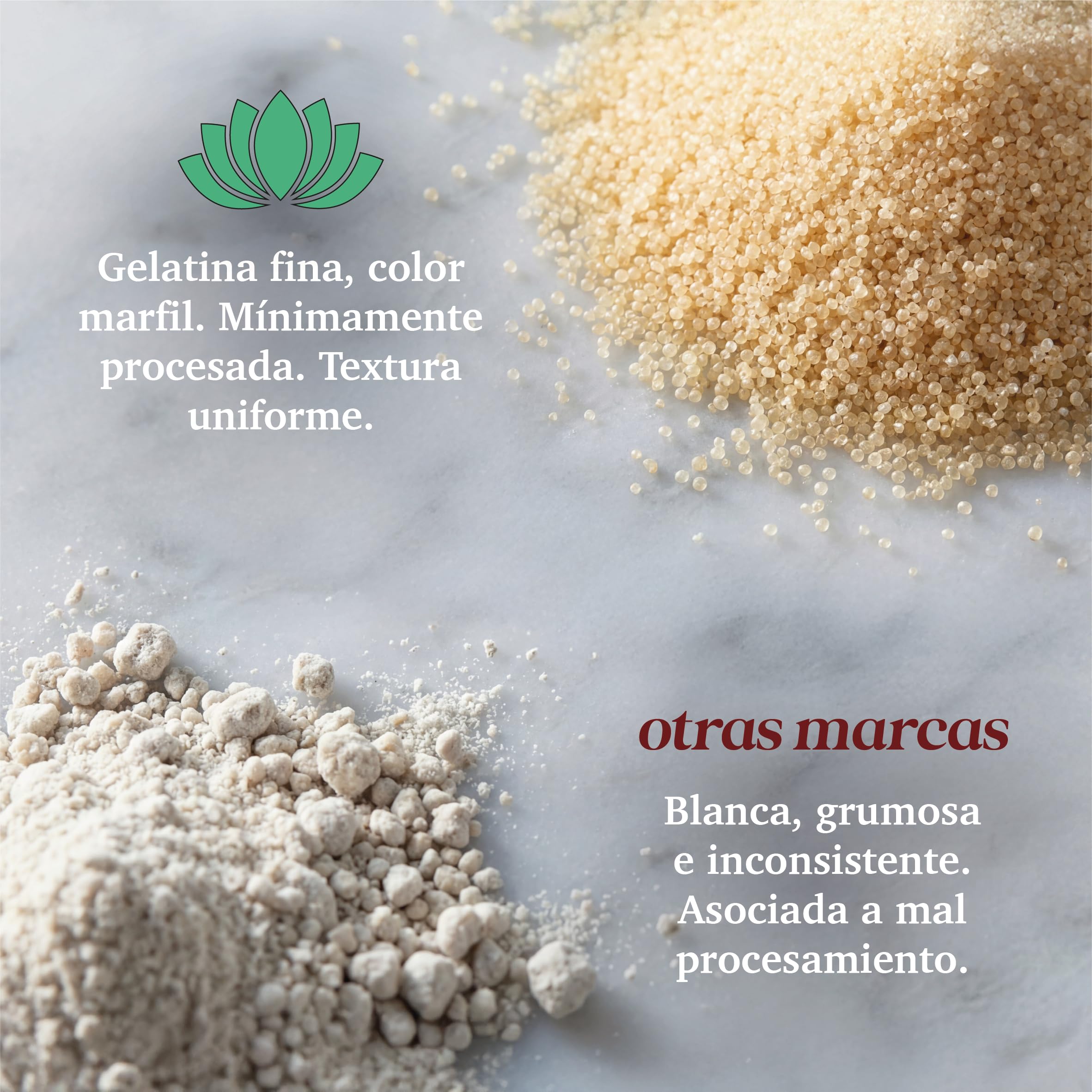 Gelatina de res – 500 g – Gelatina bovina pura – 240 Bloom – Gelatina rica en colágeno para cocinar, beber y caldo de huesos – Origen de la UE