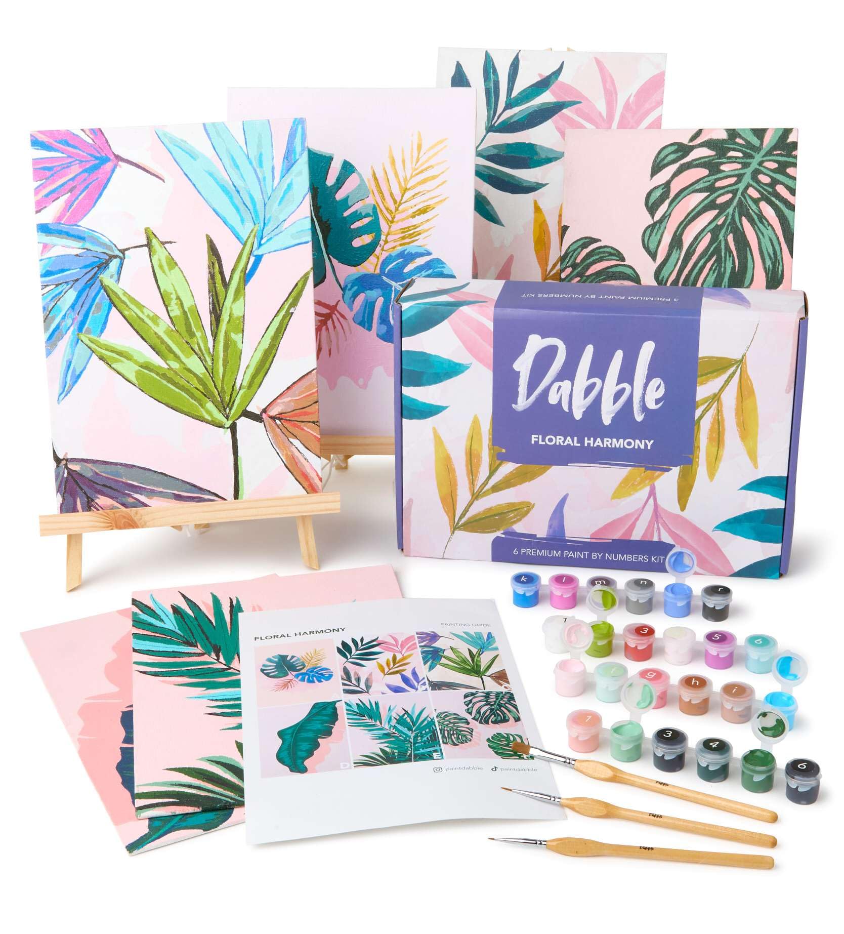 Dabble Paint by Numbers Kits – Set of 6 Paint by Numbers for Adults Beginners with Canvas Frame, Painting Kits for Adults, Flowers Designs
